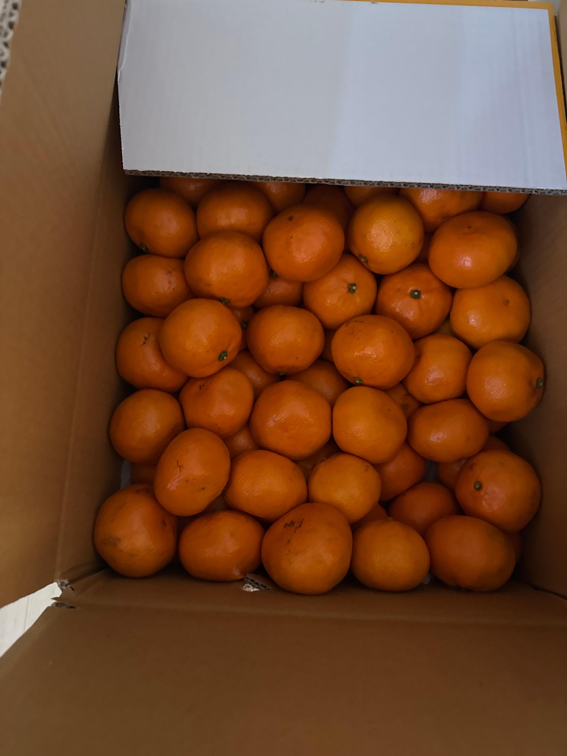 포토후기 이미지