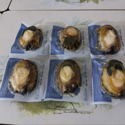 손질전복 12마리 (6마리 x 2팩)-1