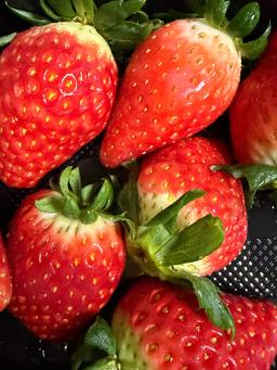 [사전예약 12/15 순차출고] 논산 킹스베리 900g-1