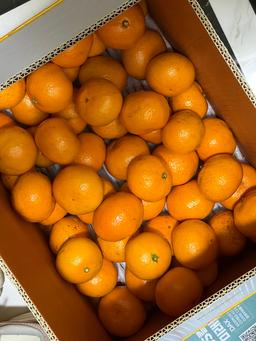 [연말한정! 감귤/흑돼지 ★분리발송★] 제주감귤 4kg (1박스)+흑돼지세트-1