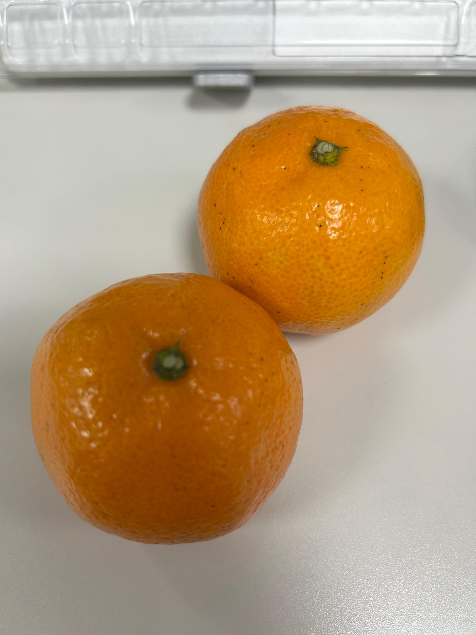 [연말한정! 감귤/흑돼지 ★분리발송★] 제주감귤 4kg (1박스)+흑돼지세트