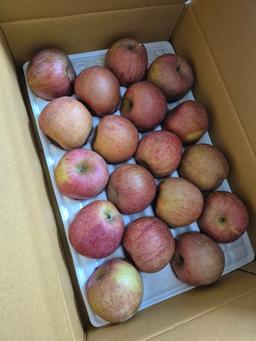 무주 반딧불 부사 4kg(18과)-1