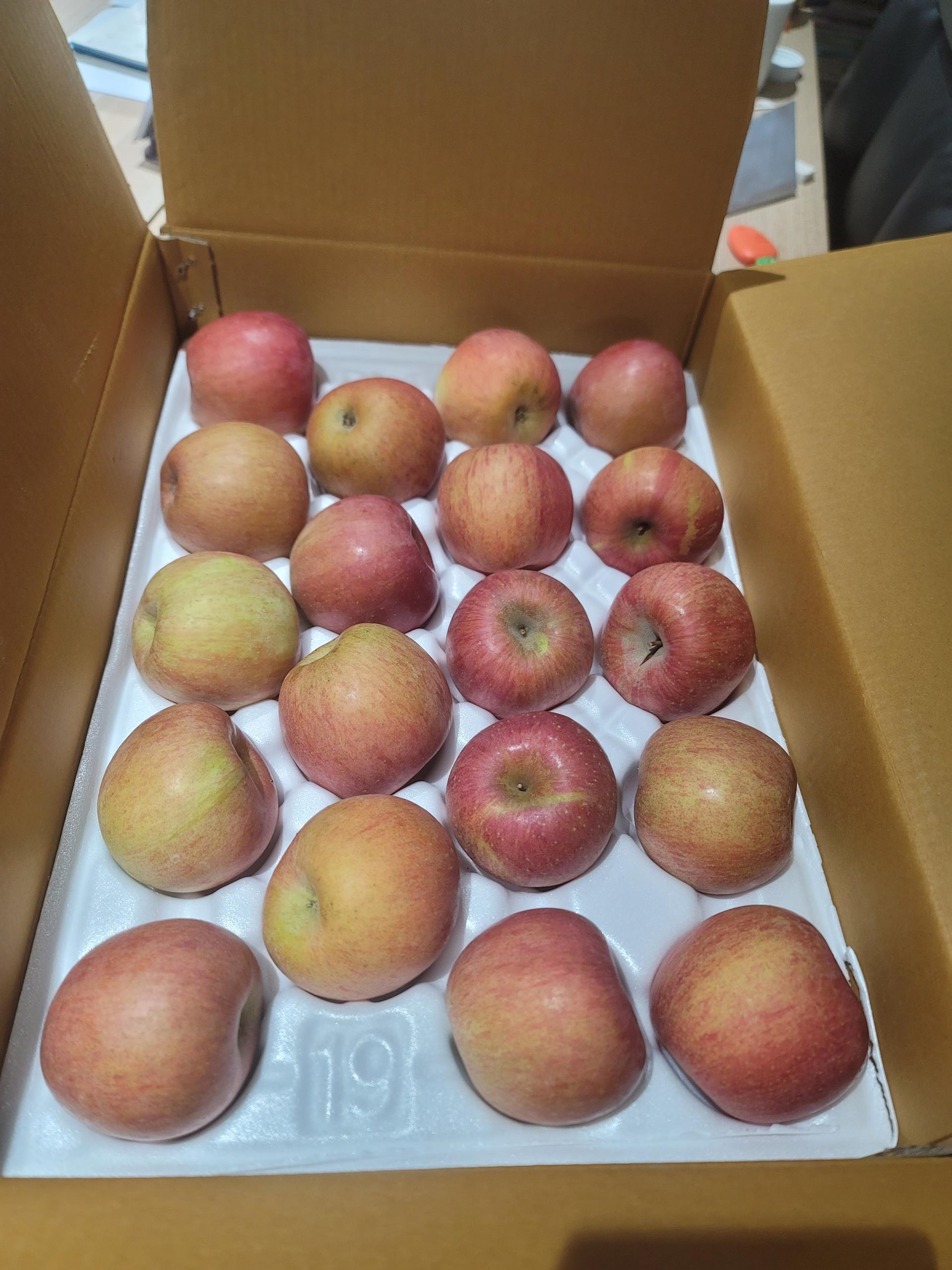 풍기농협 영주사과 3.5kg + 1kg 추가증정