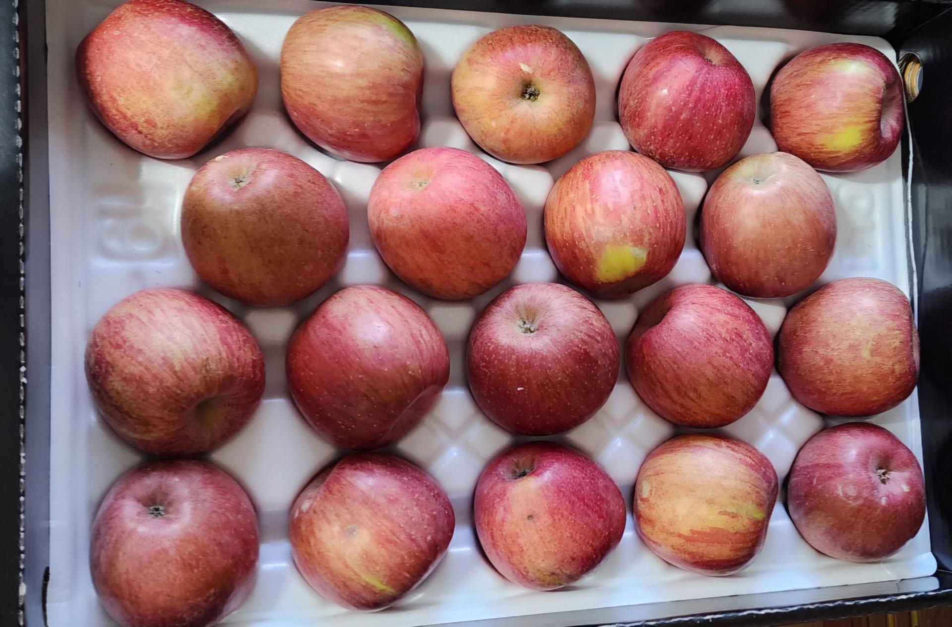 포토후기 이미지