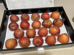 풍기농협 영주사과 3.5kg + 1kg 추가증정-2