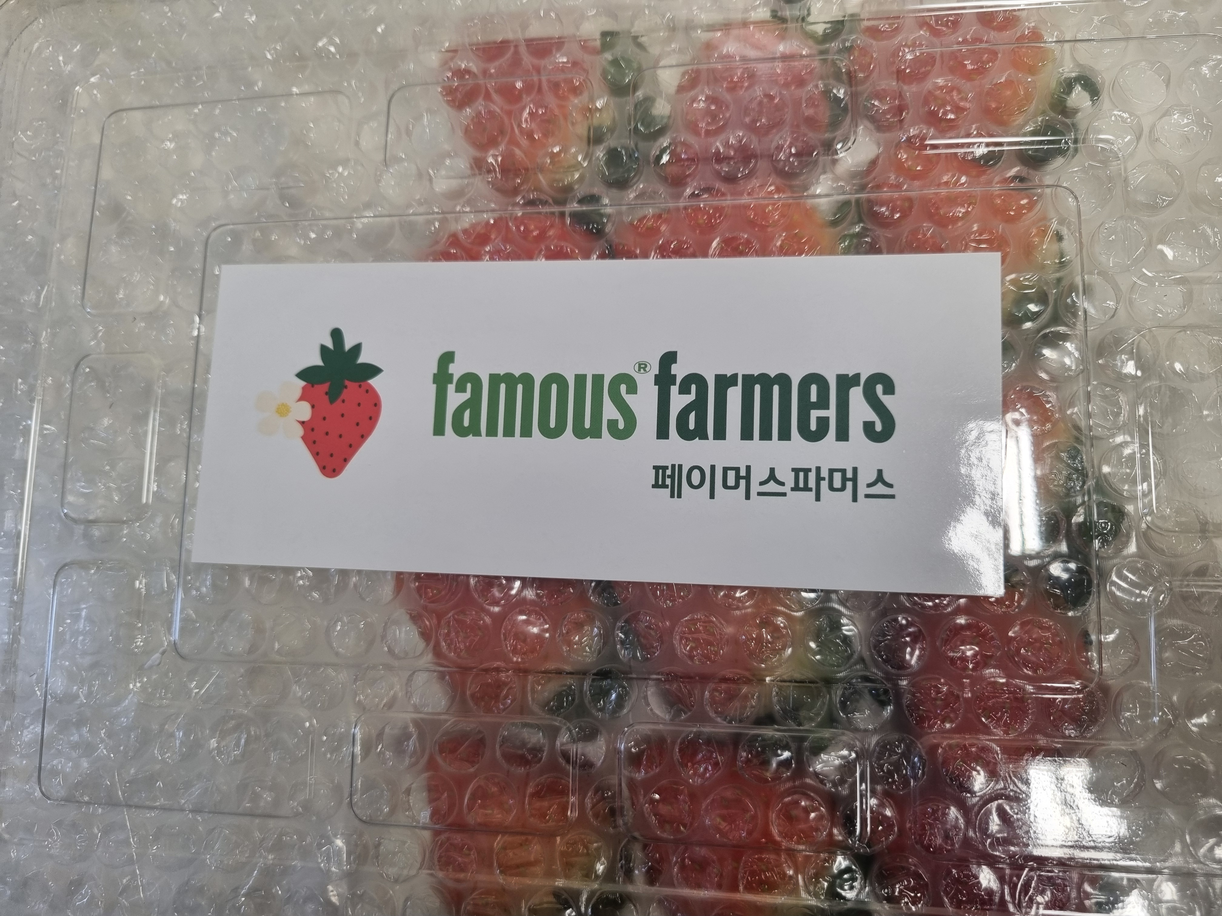 포토후기 이미지