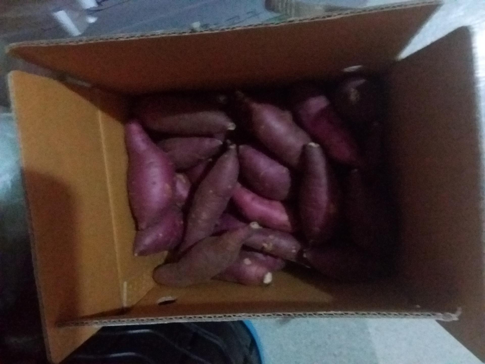 [EVENT] 무농약 김의준 꿀고구마 (대 3kg + 대/하 3kg) + 대 2kg 추가증정