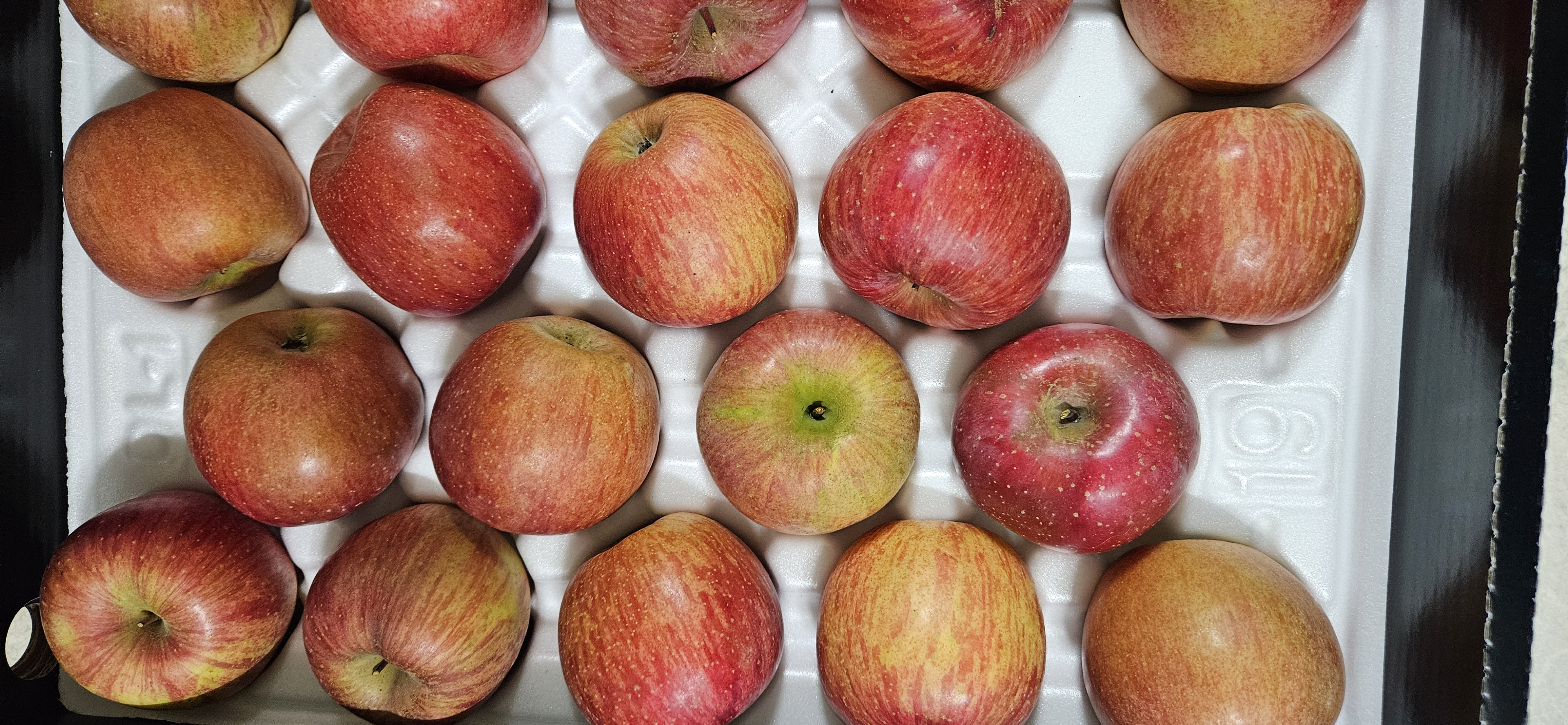 풍기농협 영주사과 3.5kg + 1kg 추가증정