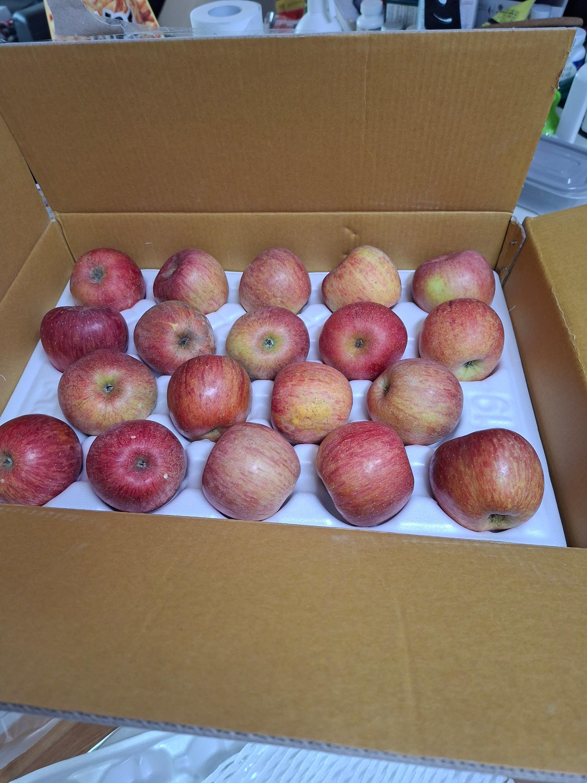 풍기농협 영주사과 3.5kg + 1kg 추가증정