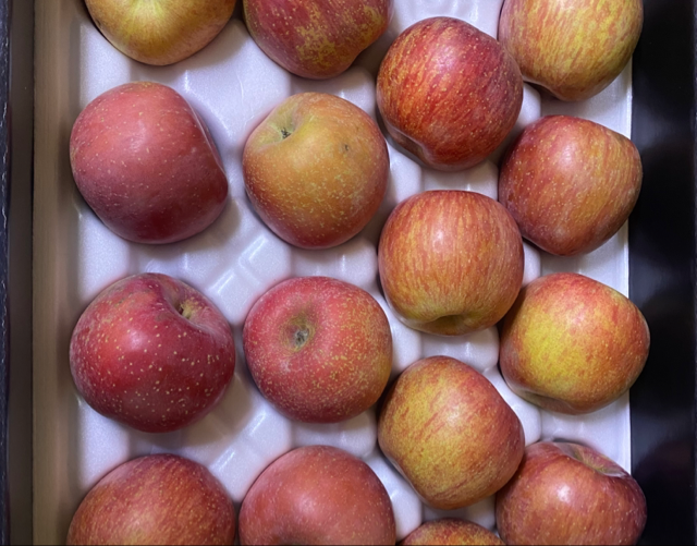 포토후기 이미지