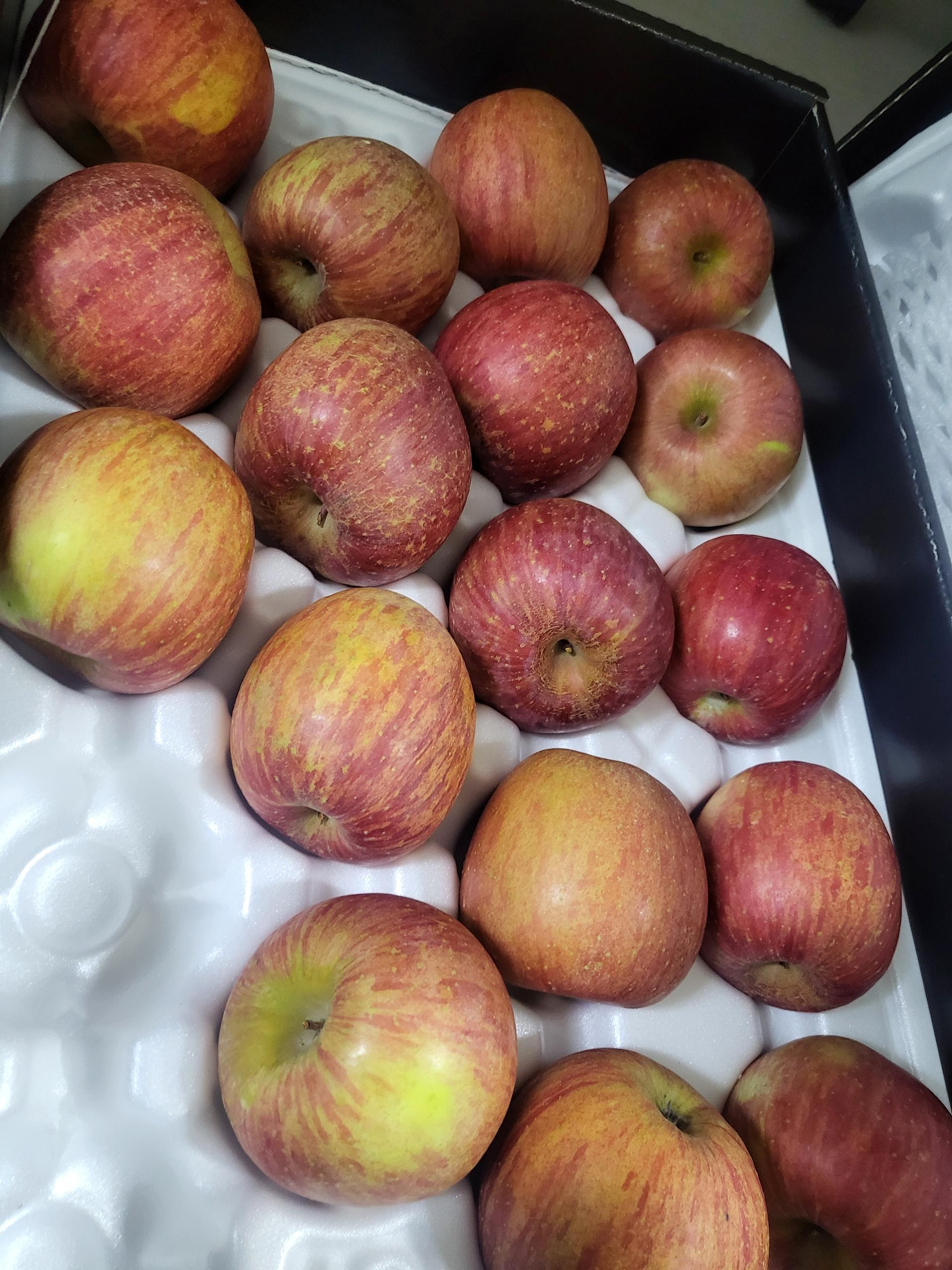 풍기농협 영주사과 3.5kg + 1kg 추가증정