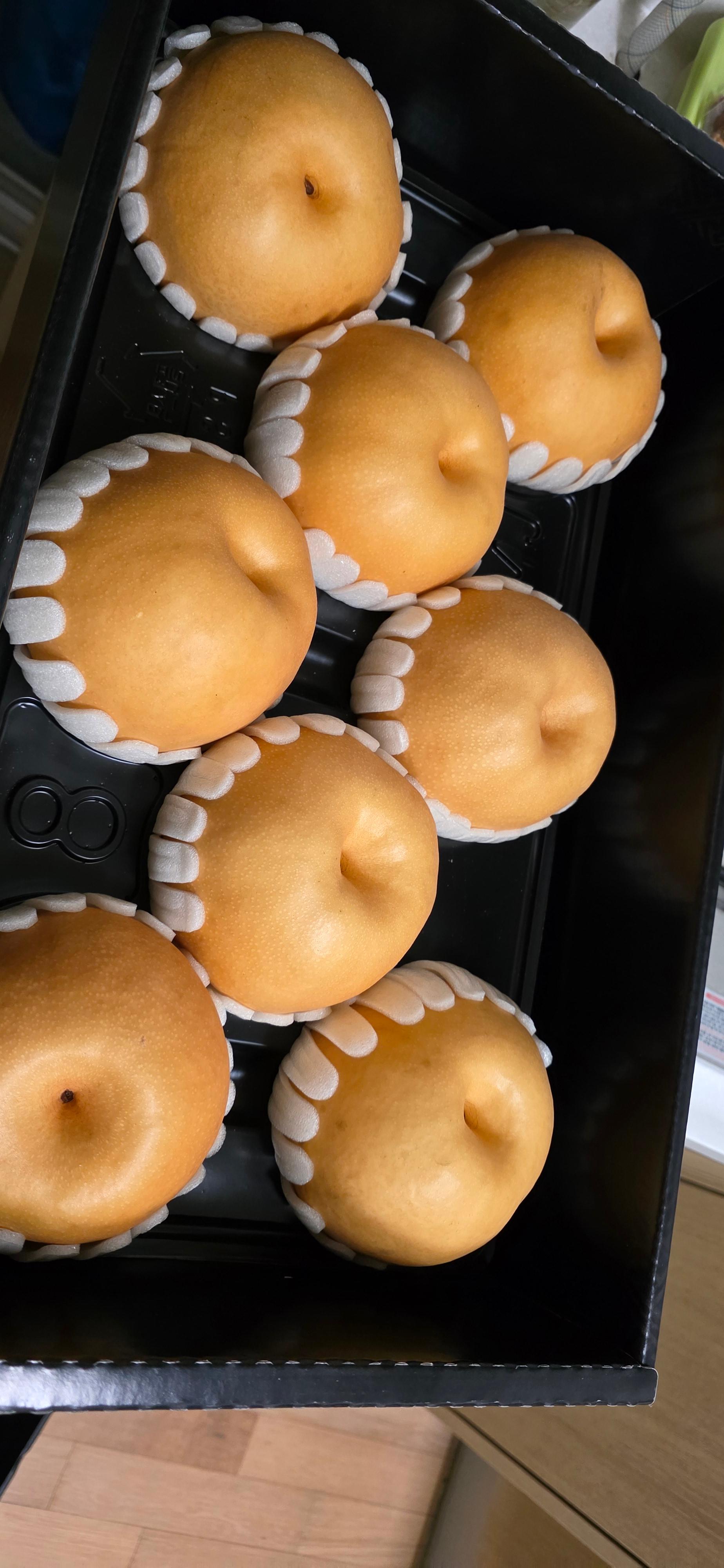 전남 나주 나주배 선물세트 5kg, 7.5kg