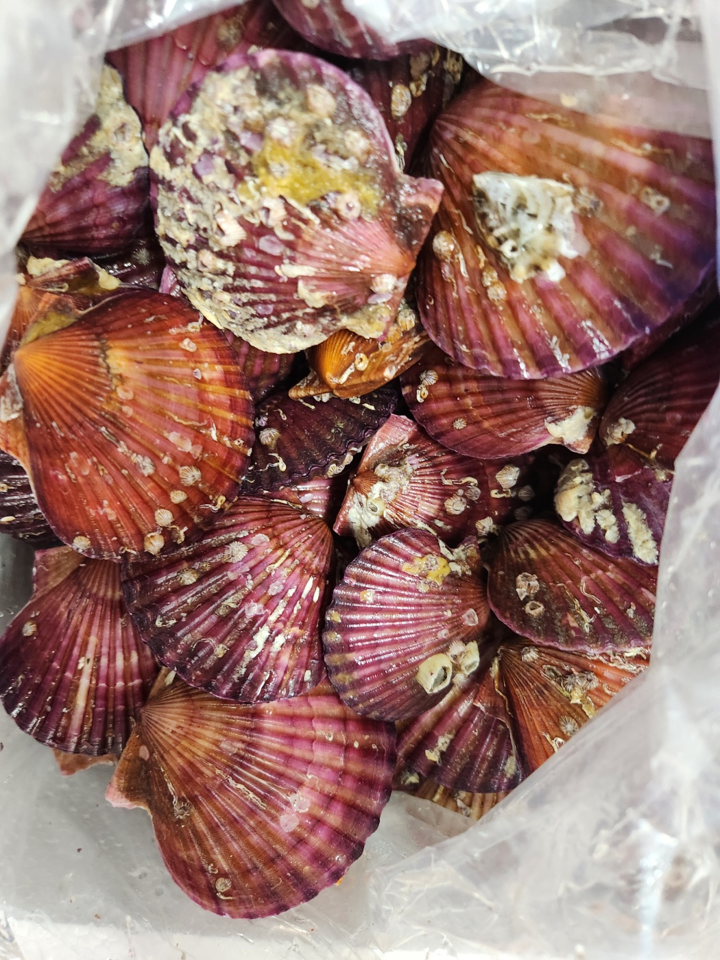 포토후기 이미지