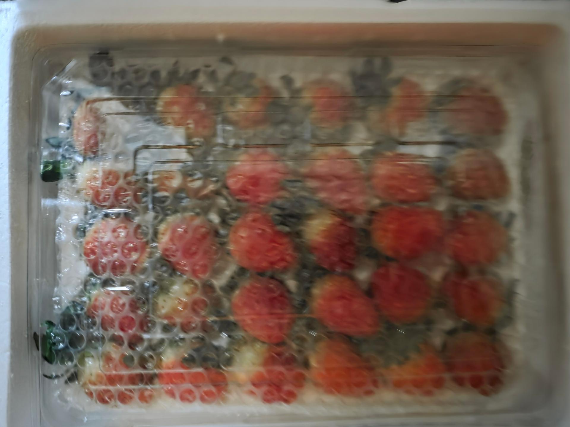 포토후기 이미지