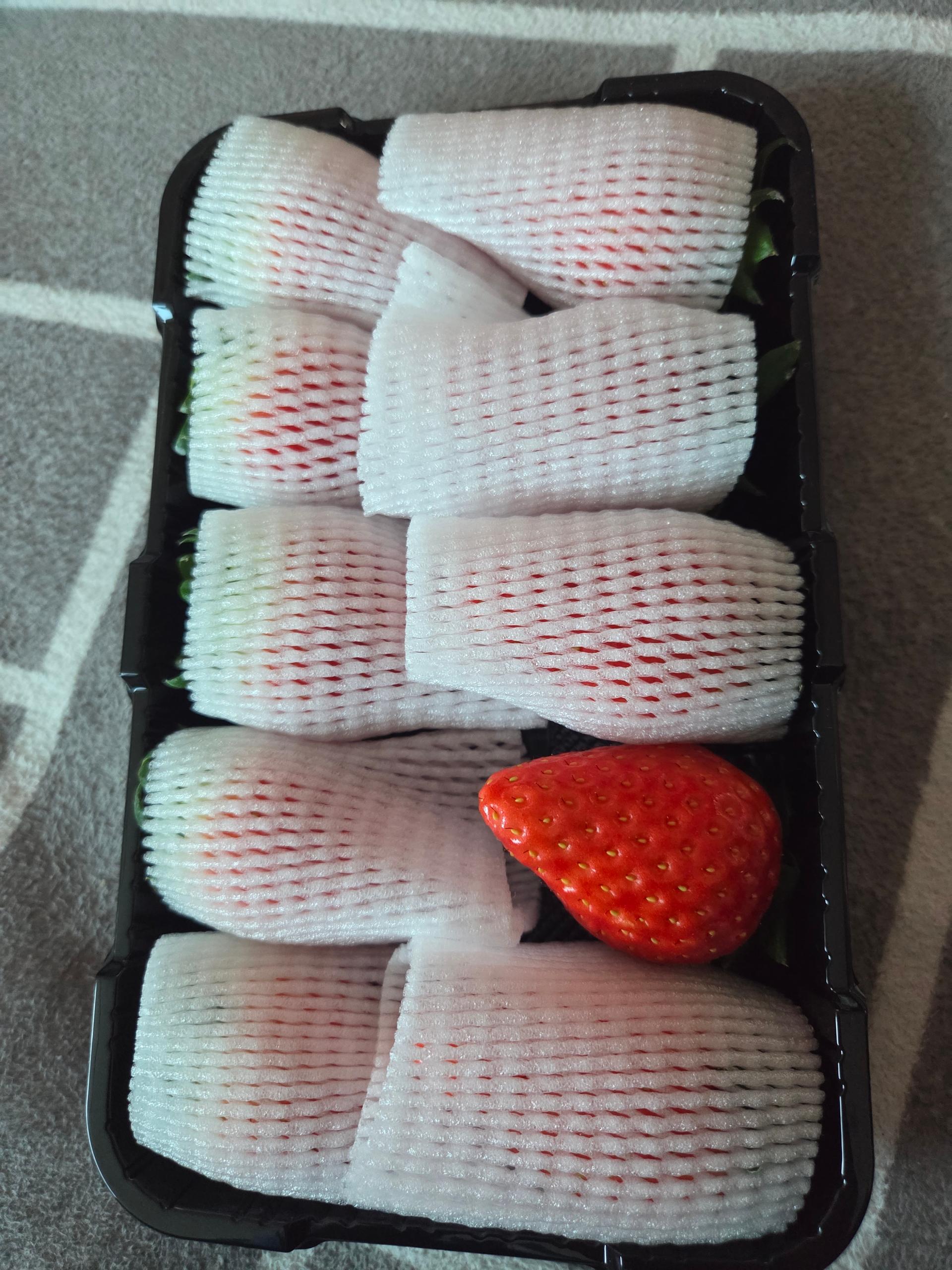 포토후기 이미지