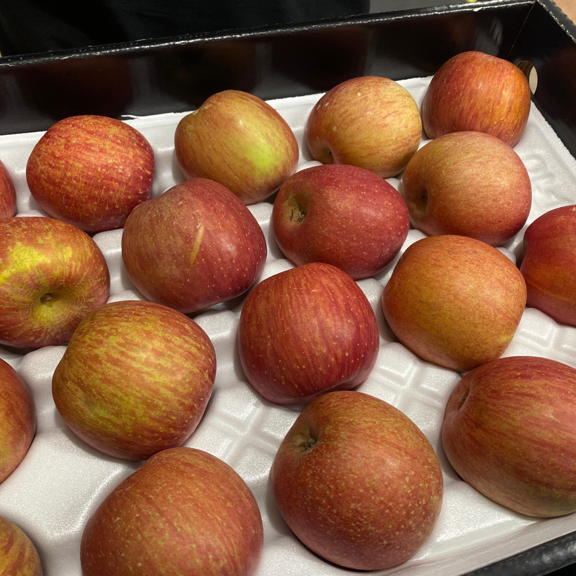 풍기농협 영주사과 3.5kg + 1kg 추가증정