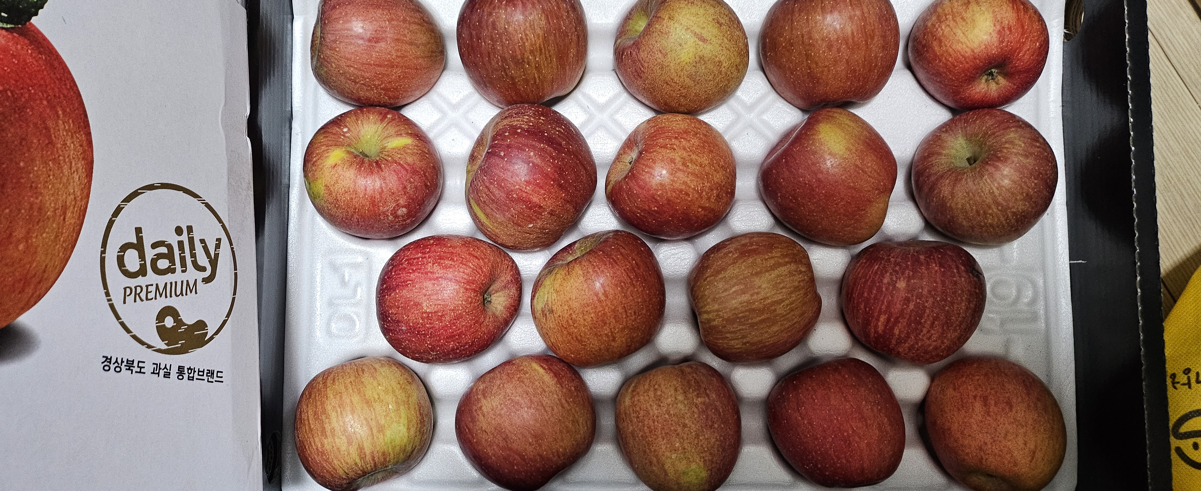 포토후기 이미지