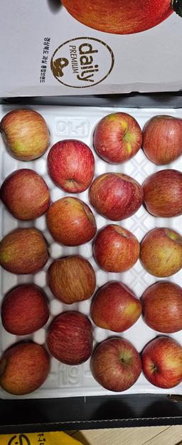 풍기농협 영주사과 3.5kg + 1kg 추가증정-1