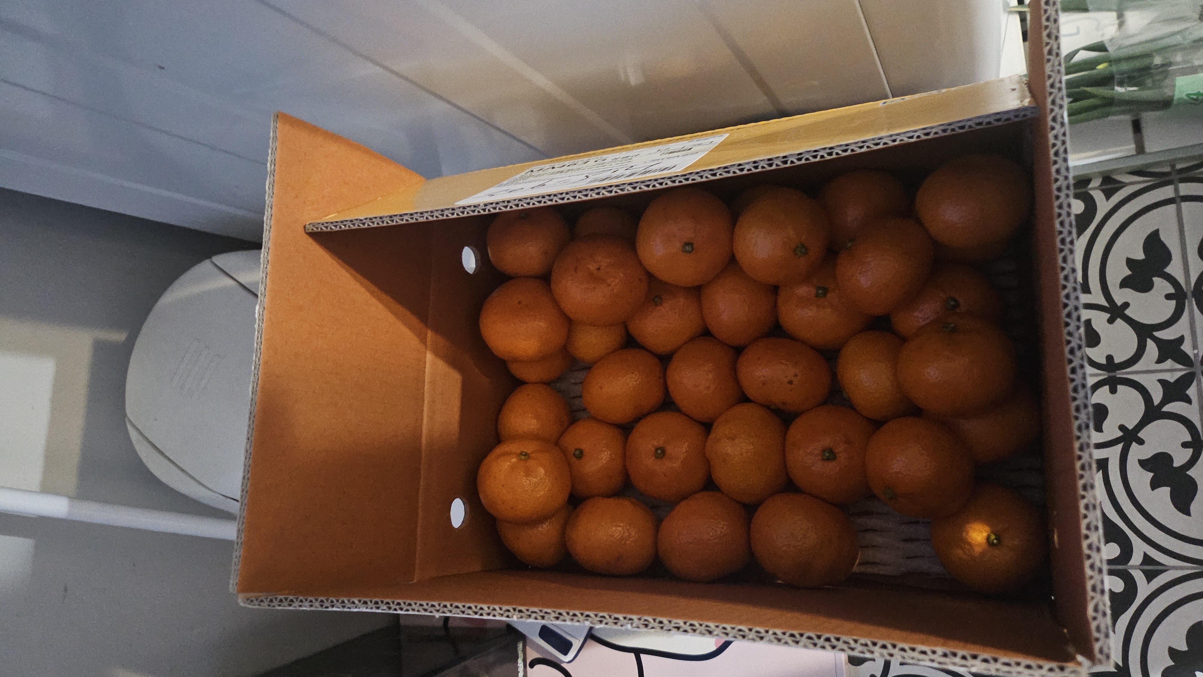 [연말한정! 감귤/흑돼지 ★분리발송★] 제주감귤 4kg (1박스)+흑돼지세트