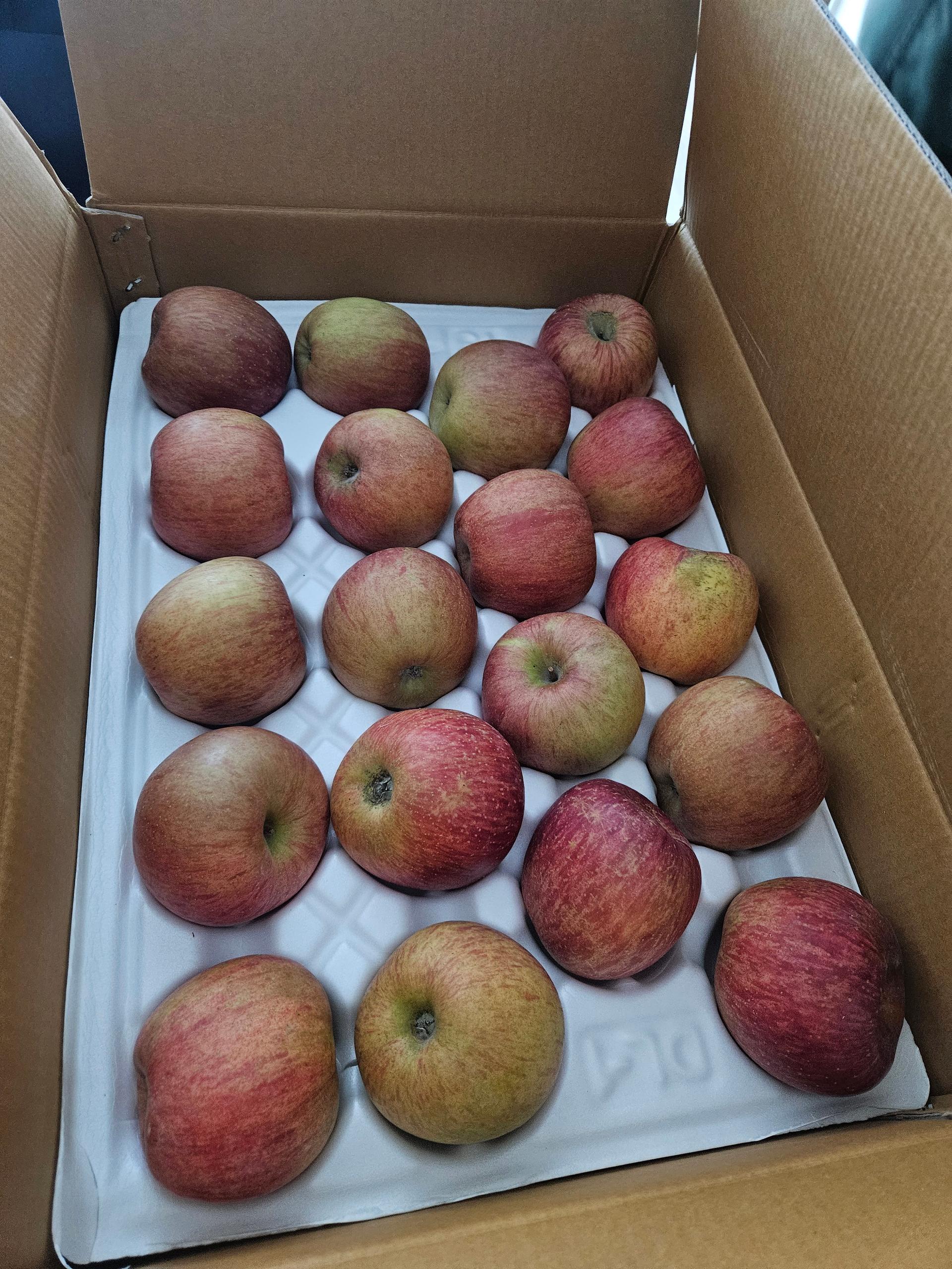 포토후기 이미지