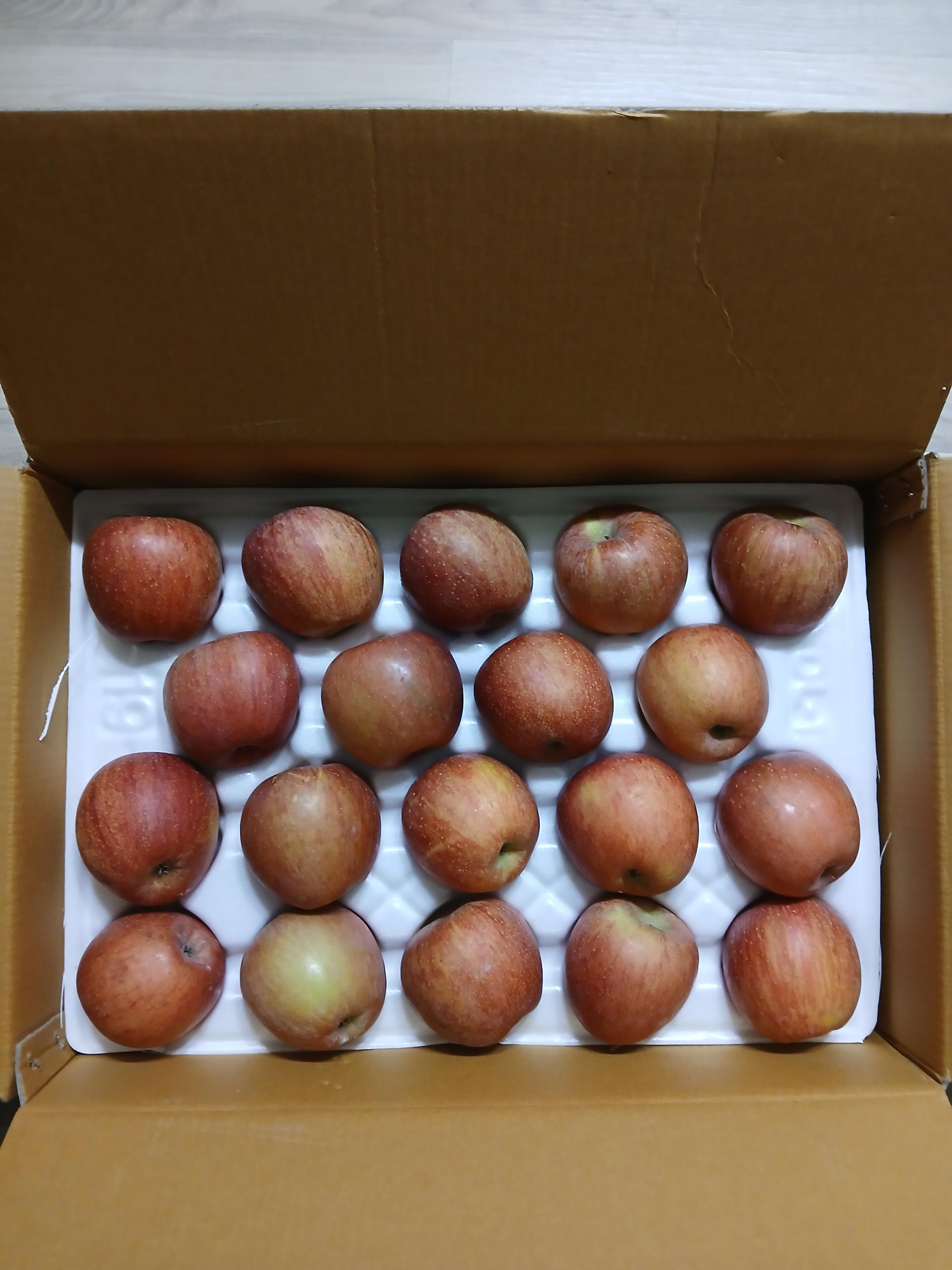 풍기농협 영주사과 3.5kg + 1kg 추가증정