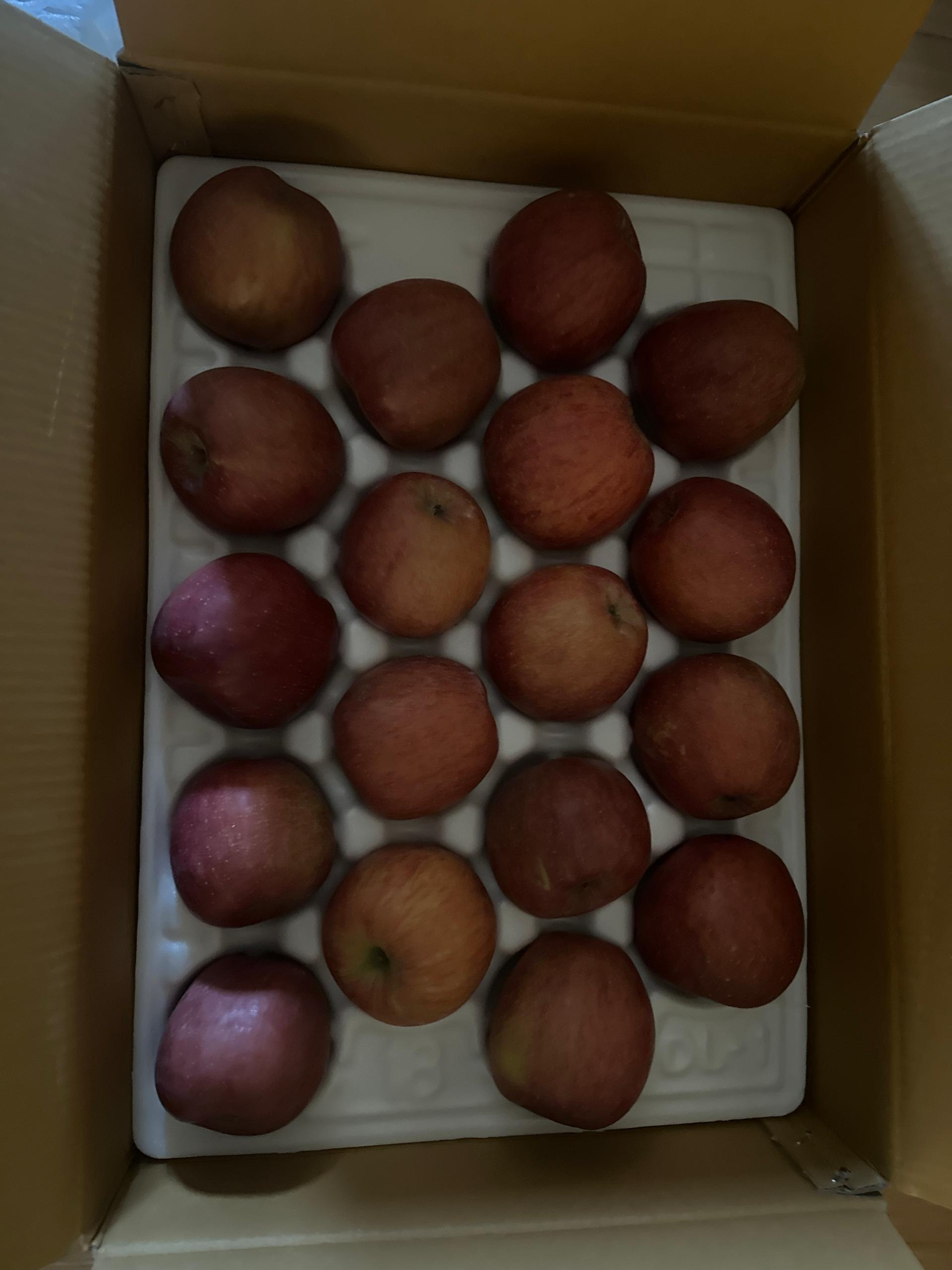 풍기농협 영주사과 3.5kg + 1kg 추가증정