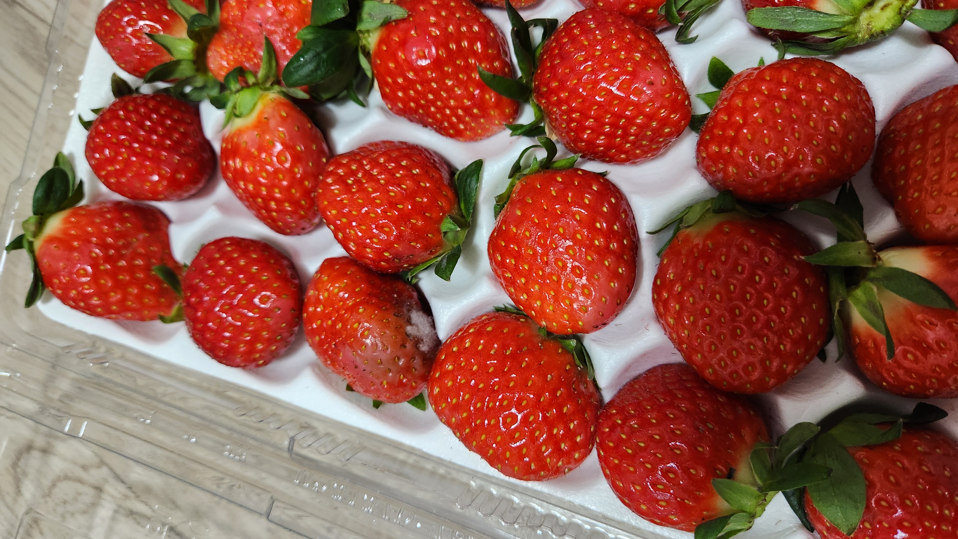 포토후기 이미지