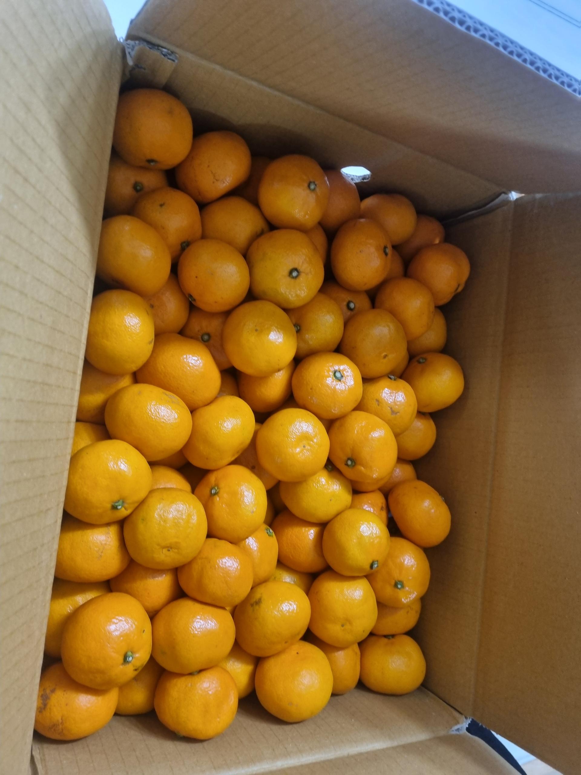 포토후기 이미지