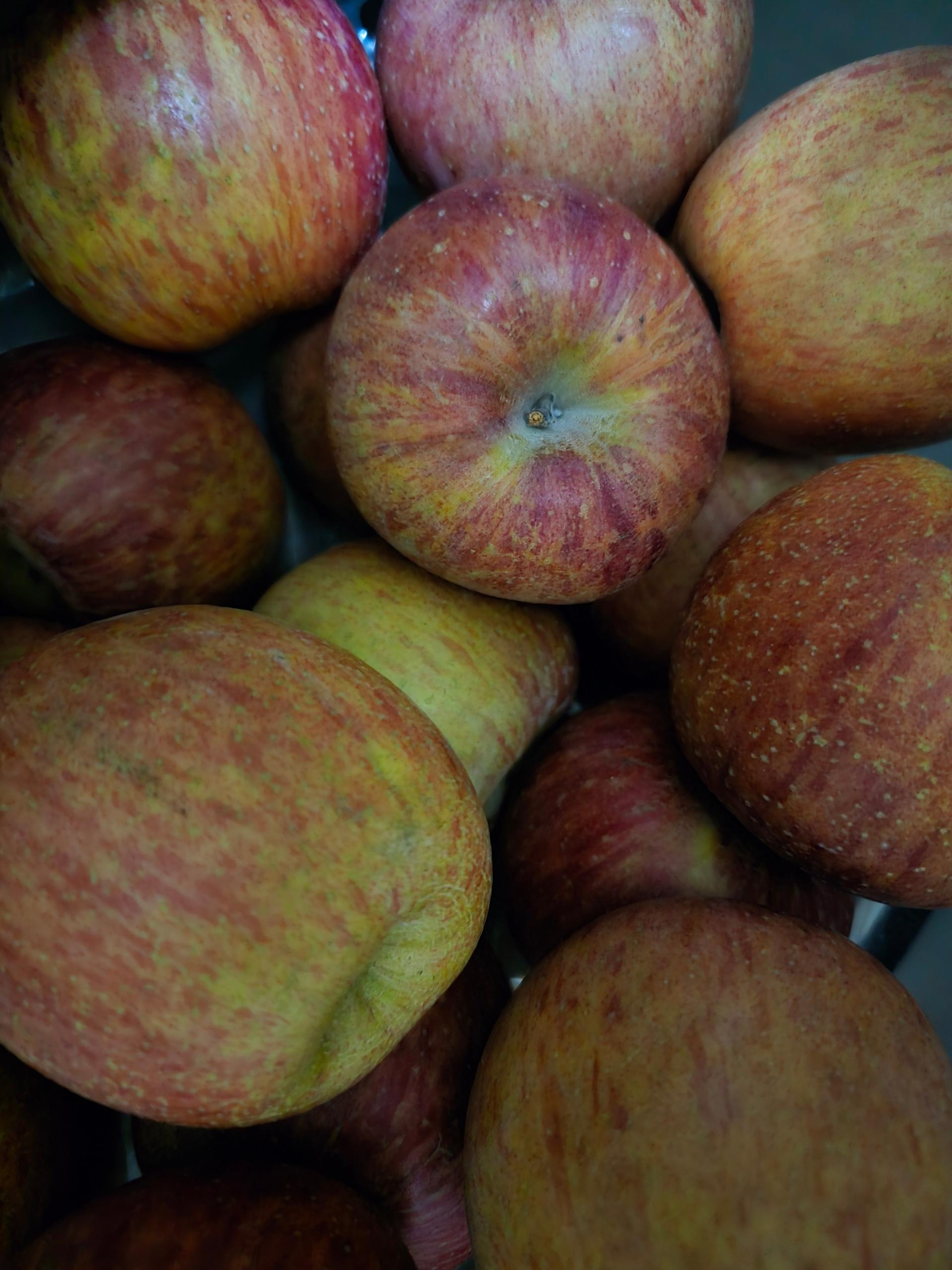 풍기농협 영주사과 3.5kg + 1kg 추가증정