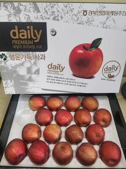 풍기농협 영주사과 3.5kg + 1kg 추가증정-1