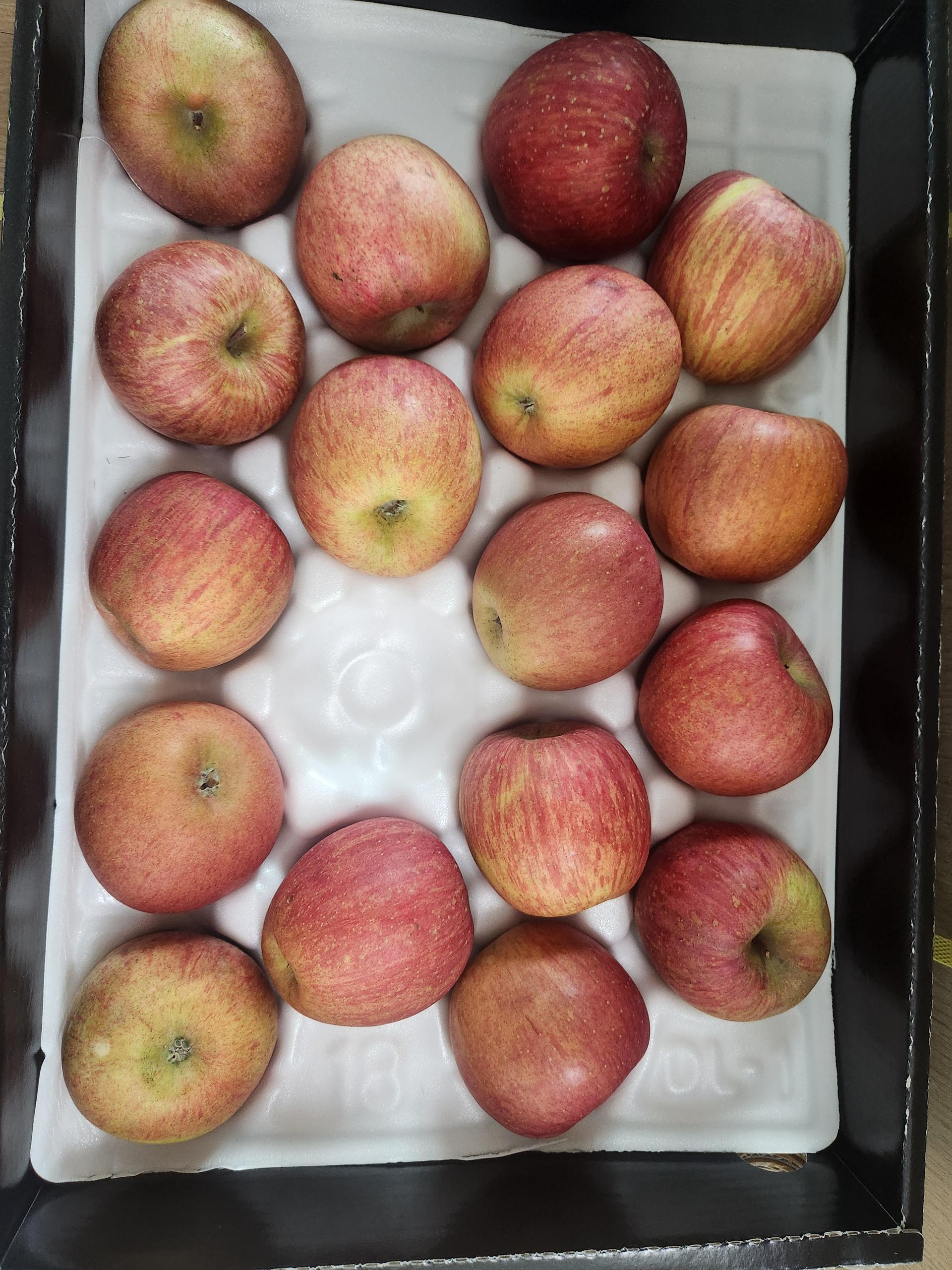 풍기농협 영주사과 3.5kg + 1kg 추가증정