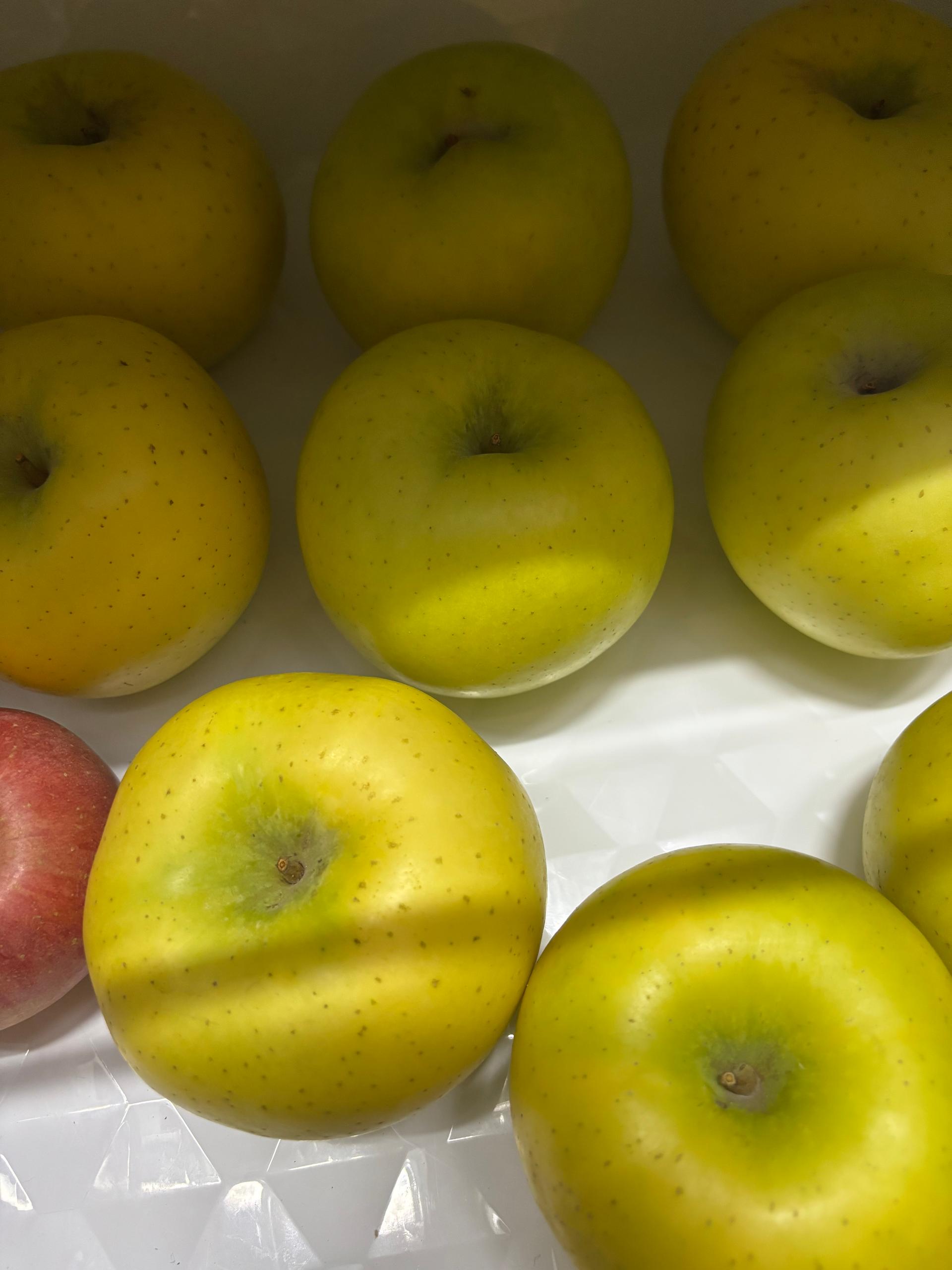 [대경사과원예농협]영주사과 3.2kg 선물세트+1kg 추가 증정