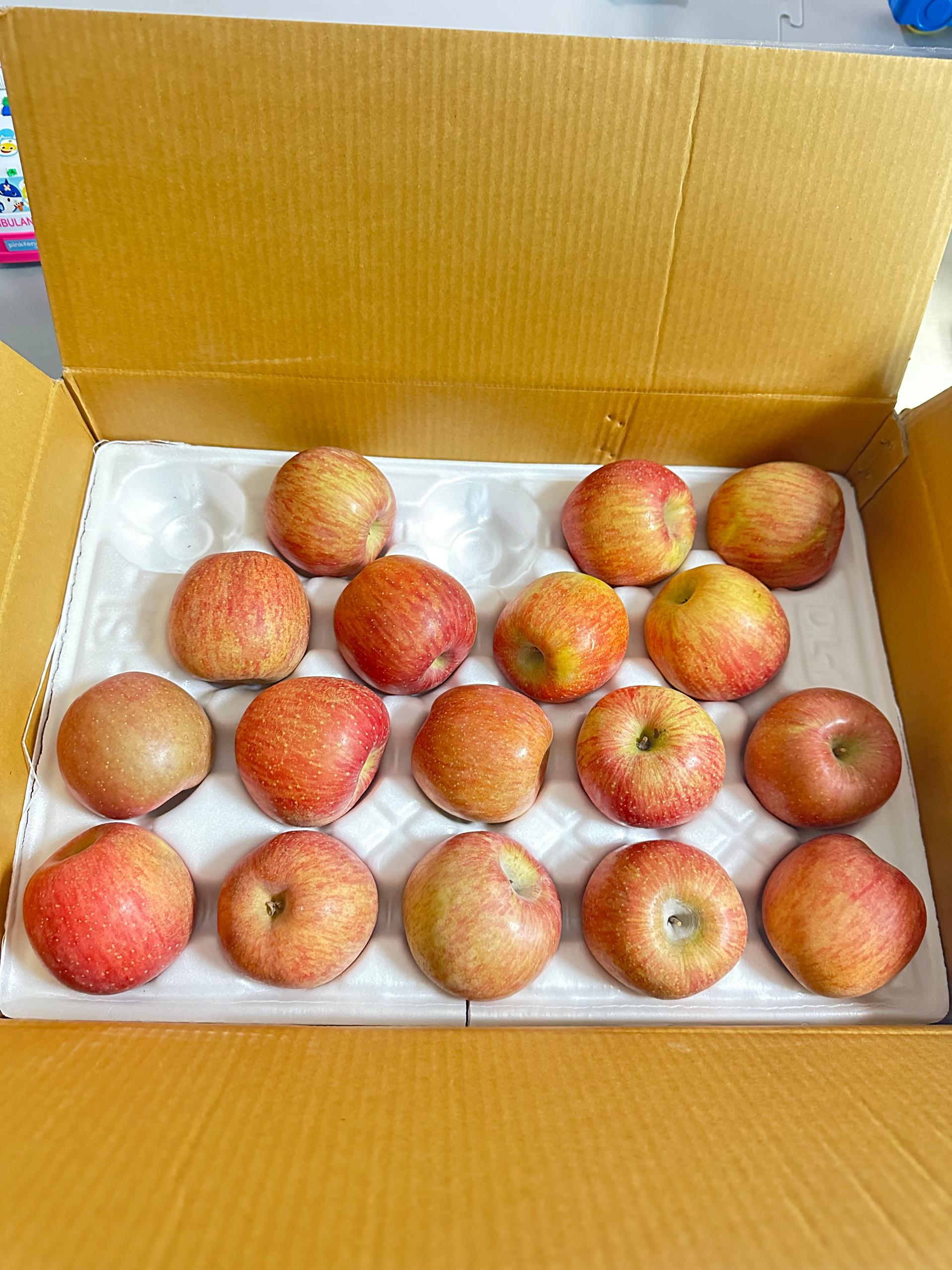 포토후기 이미지