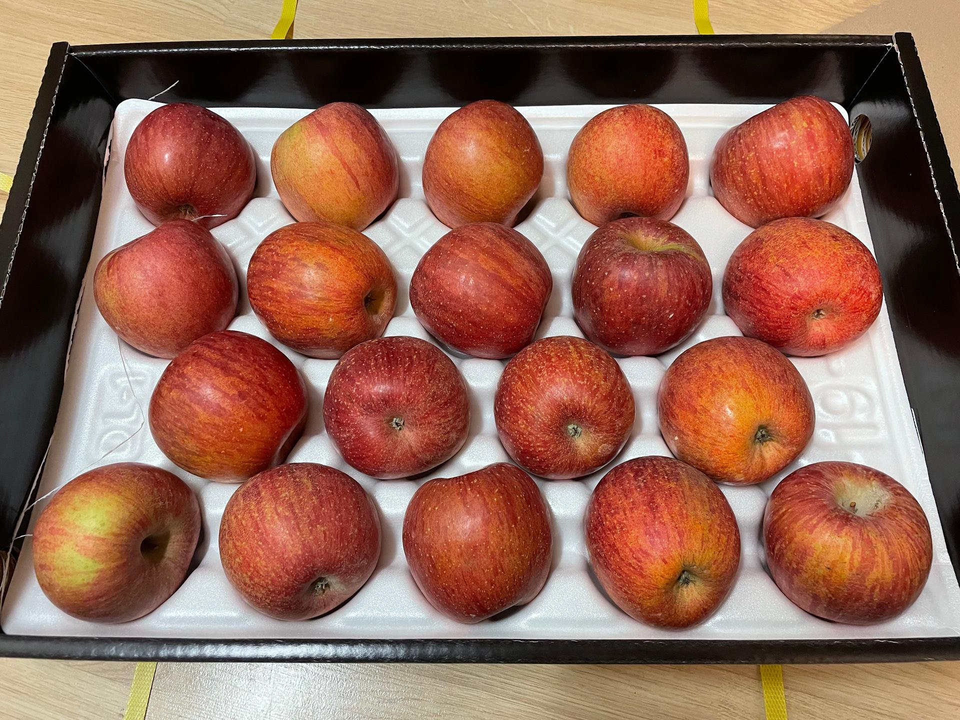 풍기농협 영주사과 3.5kg + 1kg 추가증정