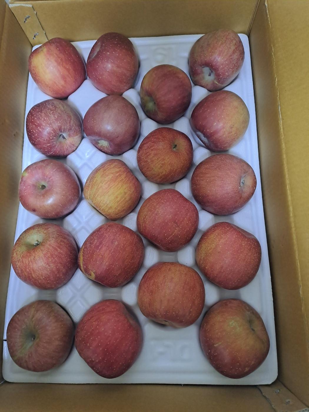 풍기농협 영주사과 3.5kg + 1kg 추가증정