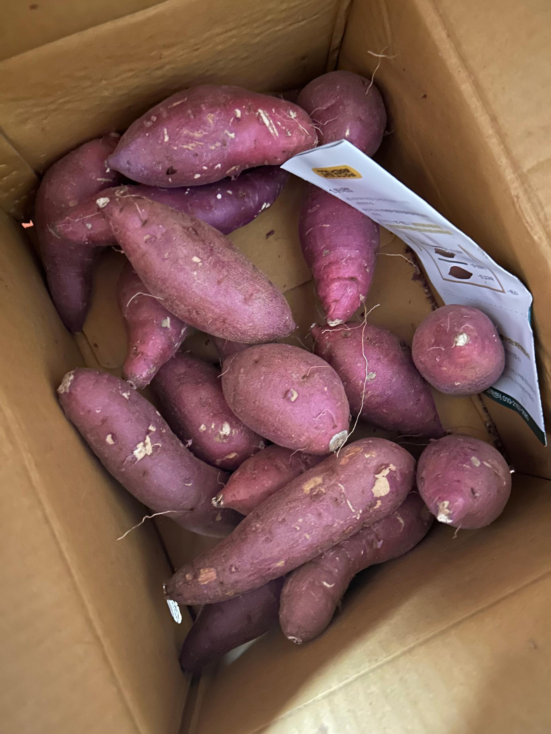 [EVENT] 무농약 김의준 꿀고구마 (대 3kg + 대/하 3kg) + 대 2kg 추가증정