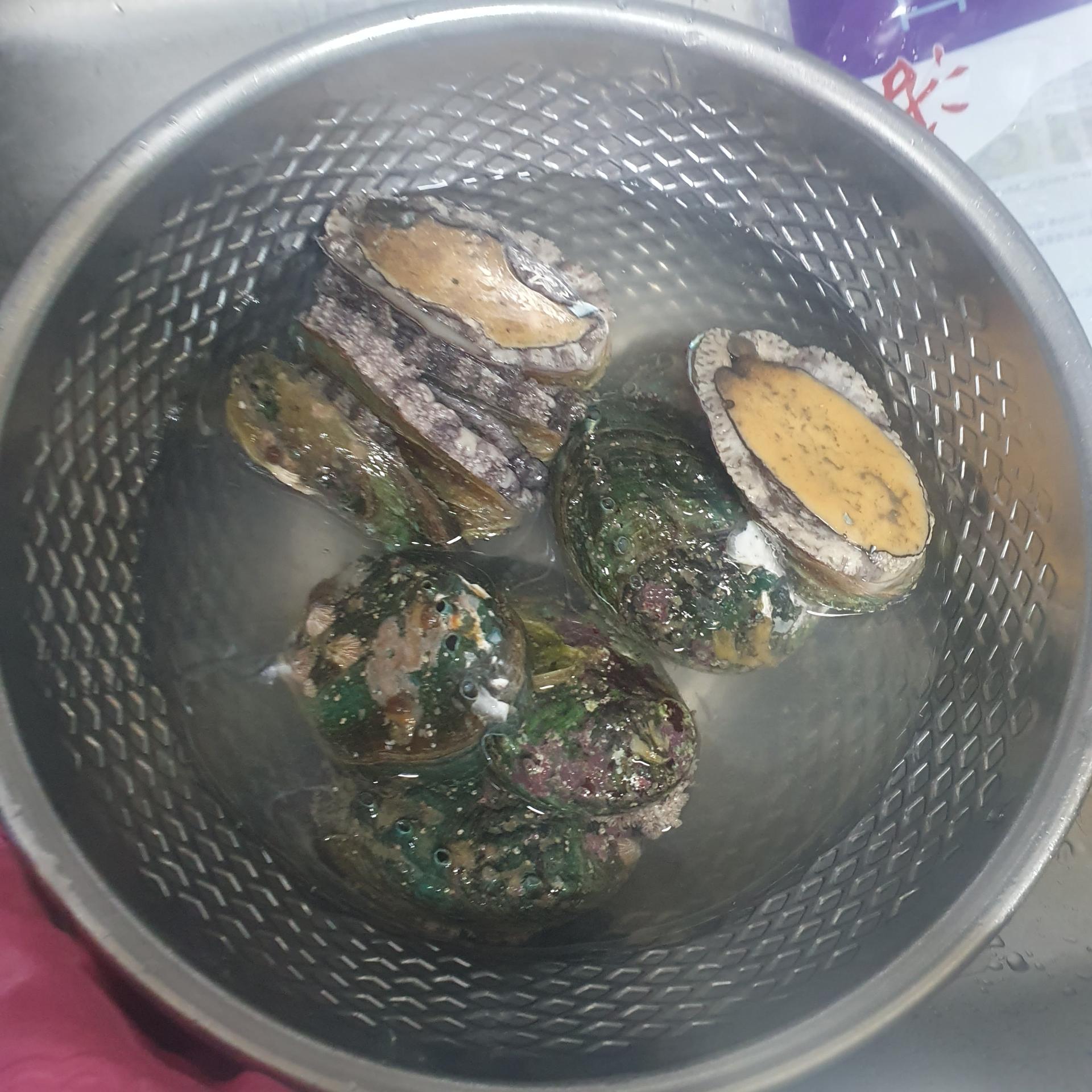 완도 전복 실속 선물세트 (1kg)