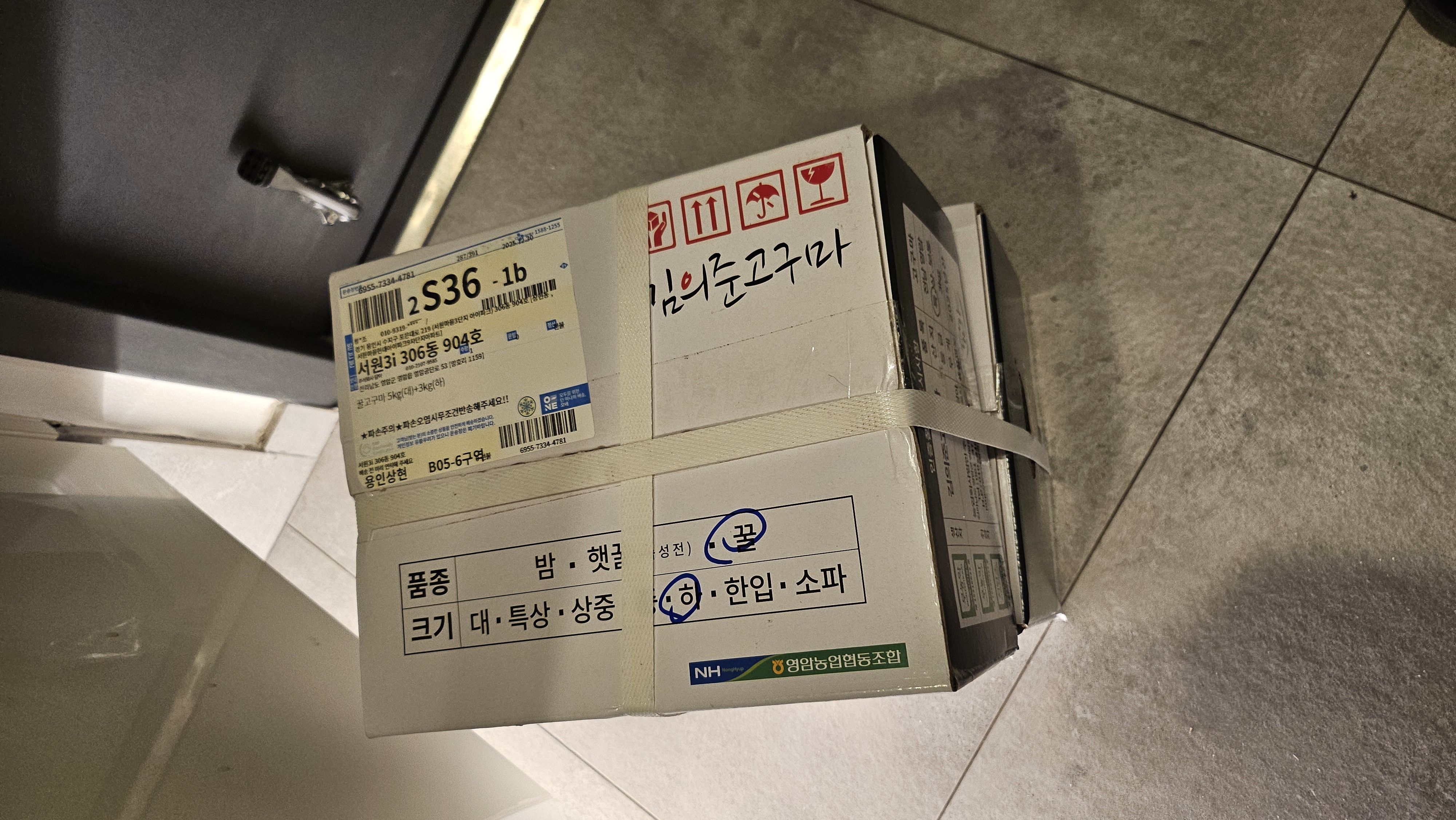 [EVENT] 무농약 김의준 꿀고구마 (대 3kg + 대/하 3kg) + 대 2kg 추가증정