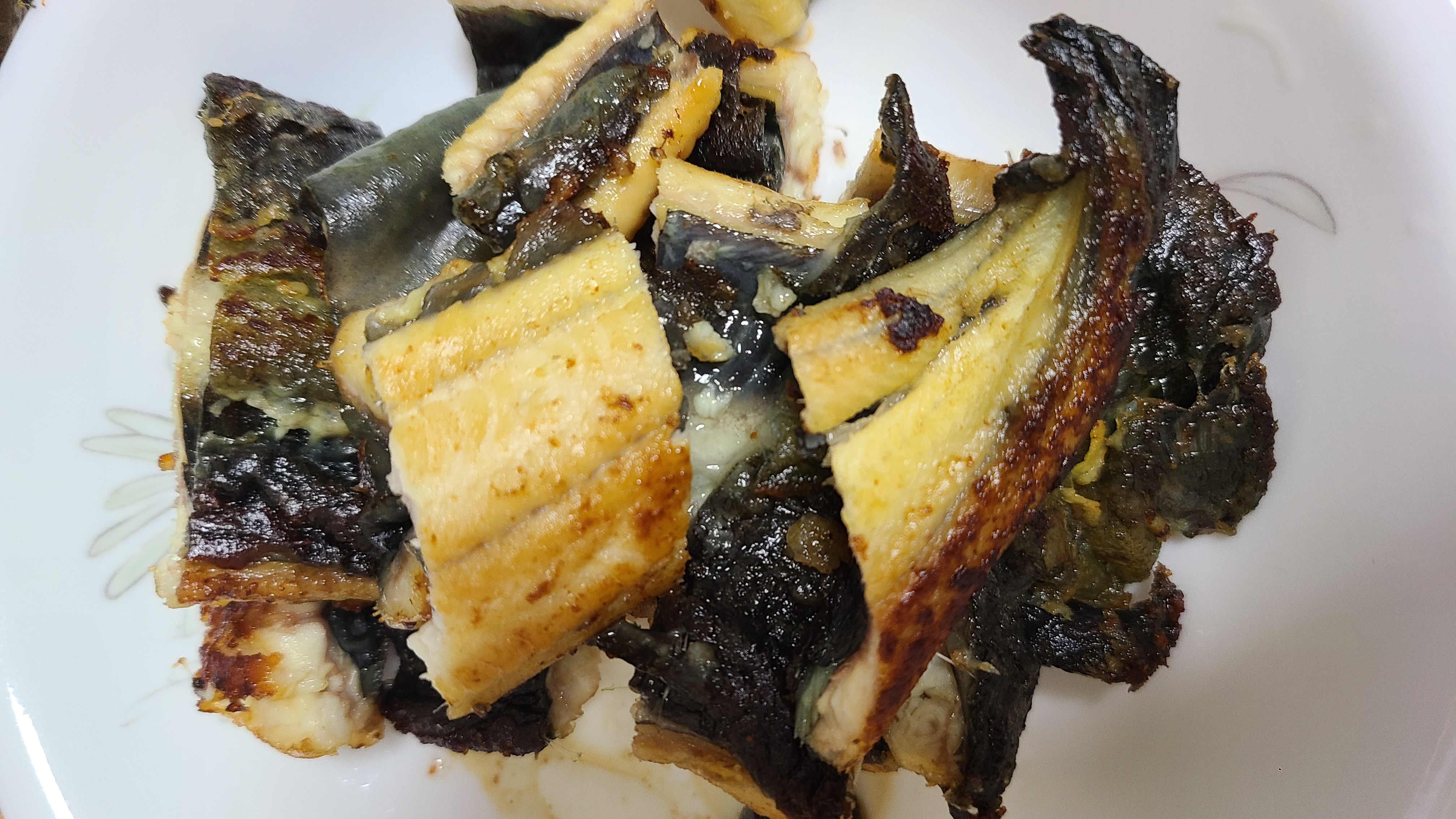 영광 민물장어 1kg (600g내외) + 100g 추가증정 + 장어즙 2포 추가증정