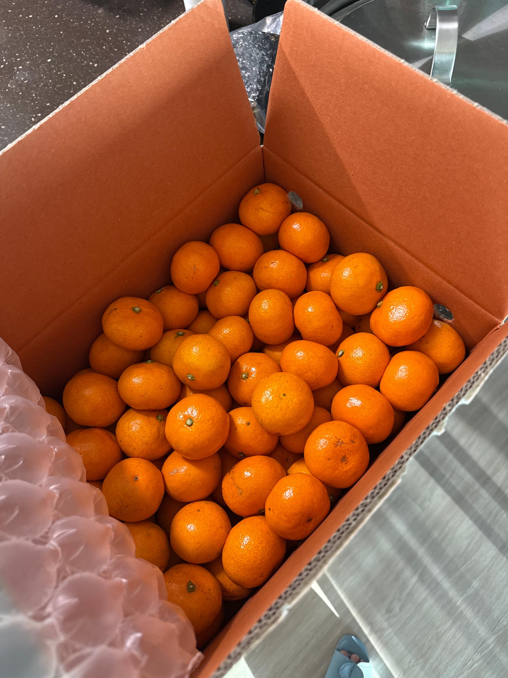 행복담원 타이벡귤 5kg (로얄과)