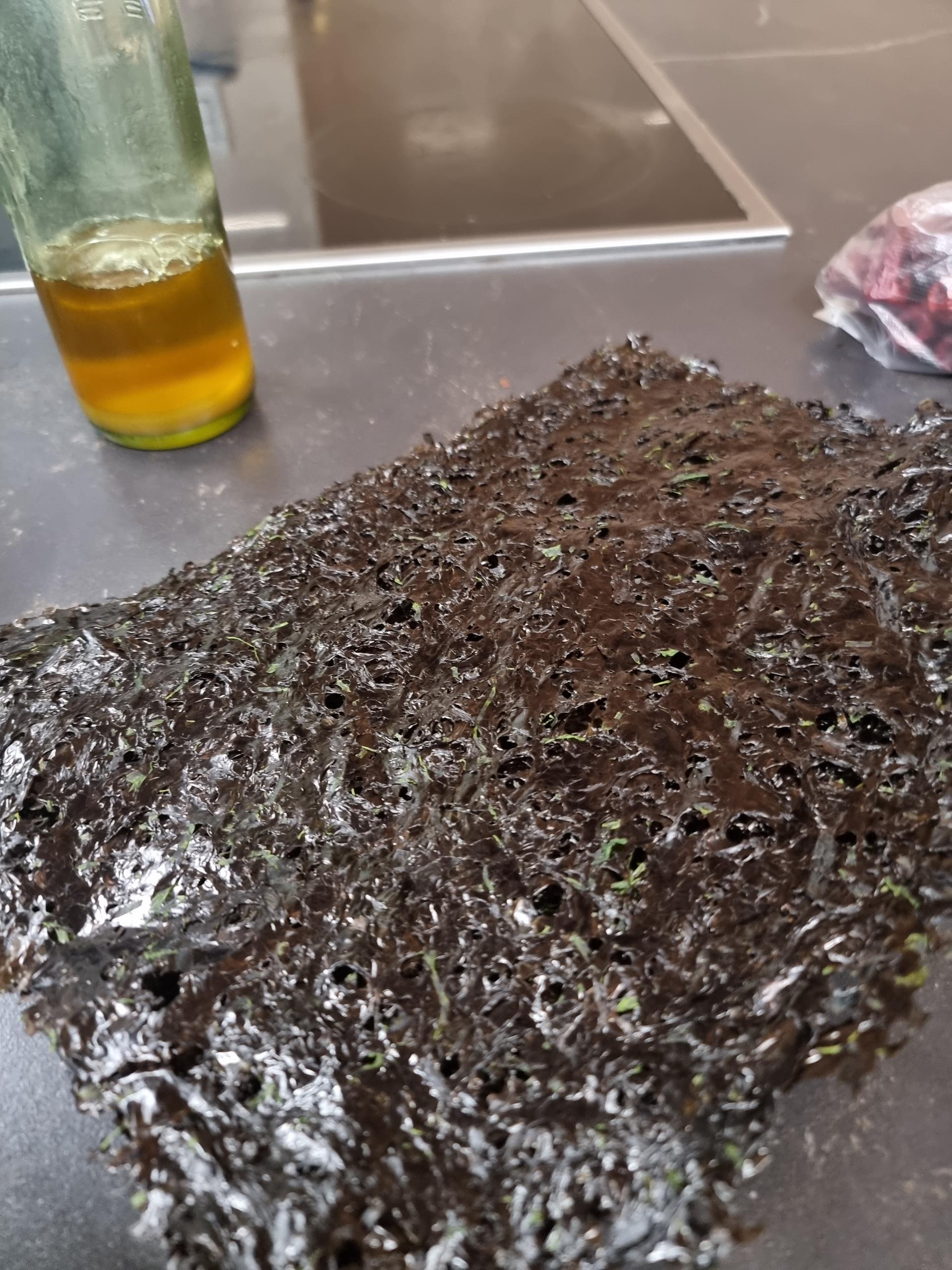 완도락 2025년  햇곱창김 100장