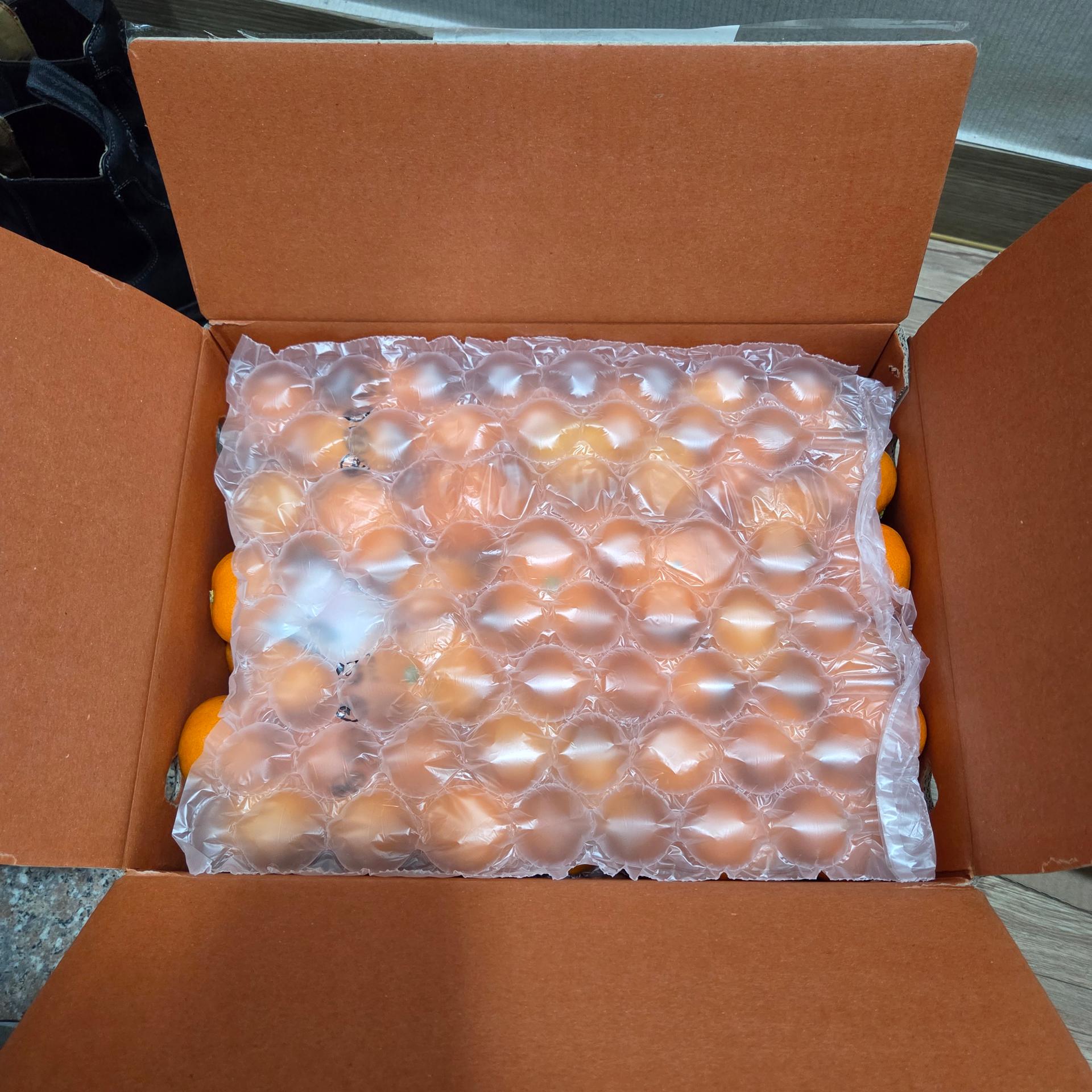 행복담원 타이벡귤 5kg (로얄과)