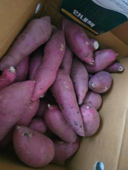 [EVENT] 무농약 김의준 꿀고구마 (대 3kg + 대/하 3kg) + 대 2kg 추가증정-2