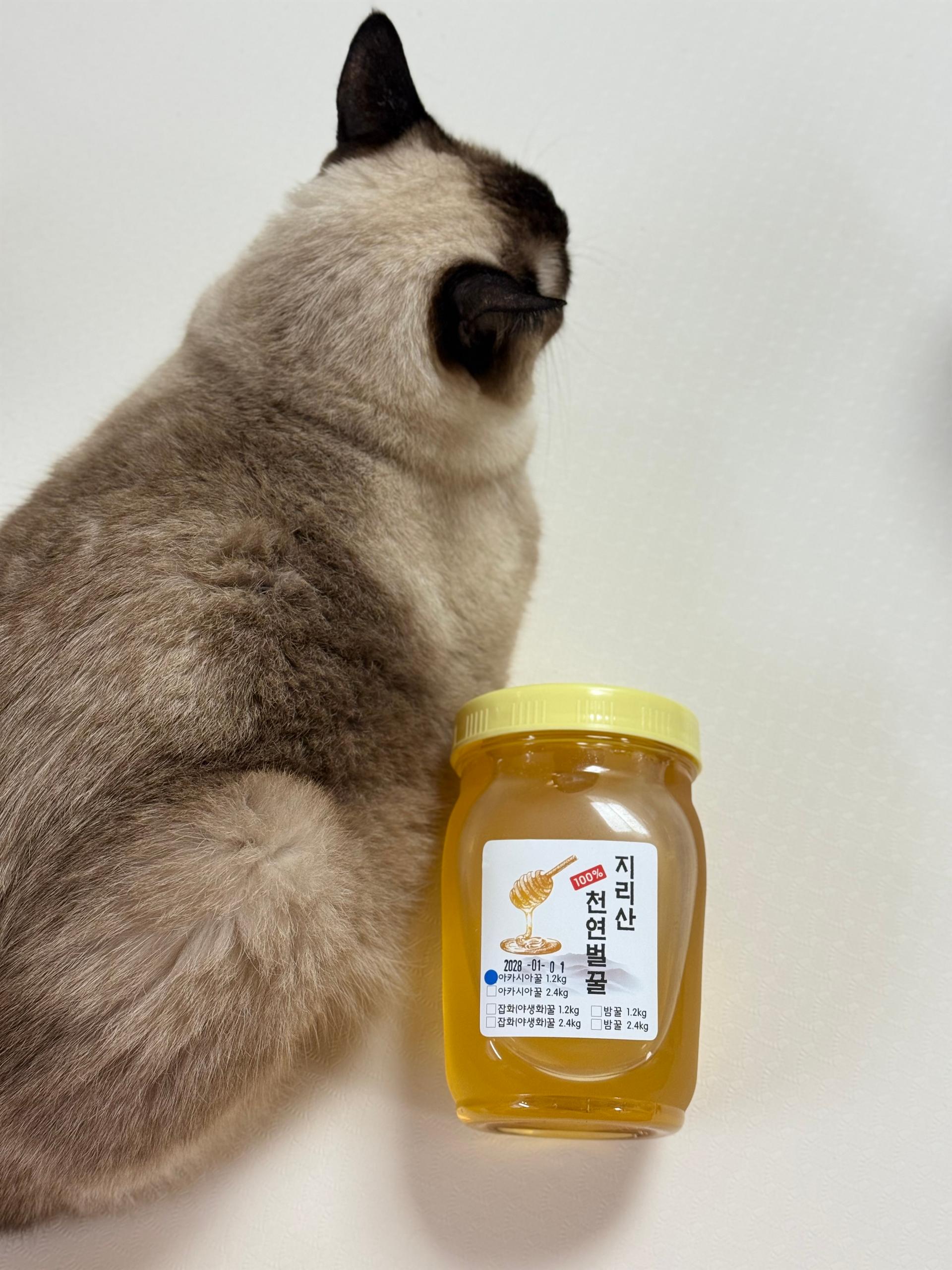 지리산 천연벌꿀 아카시아꿀/야생화꿀(잡화꿀)