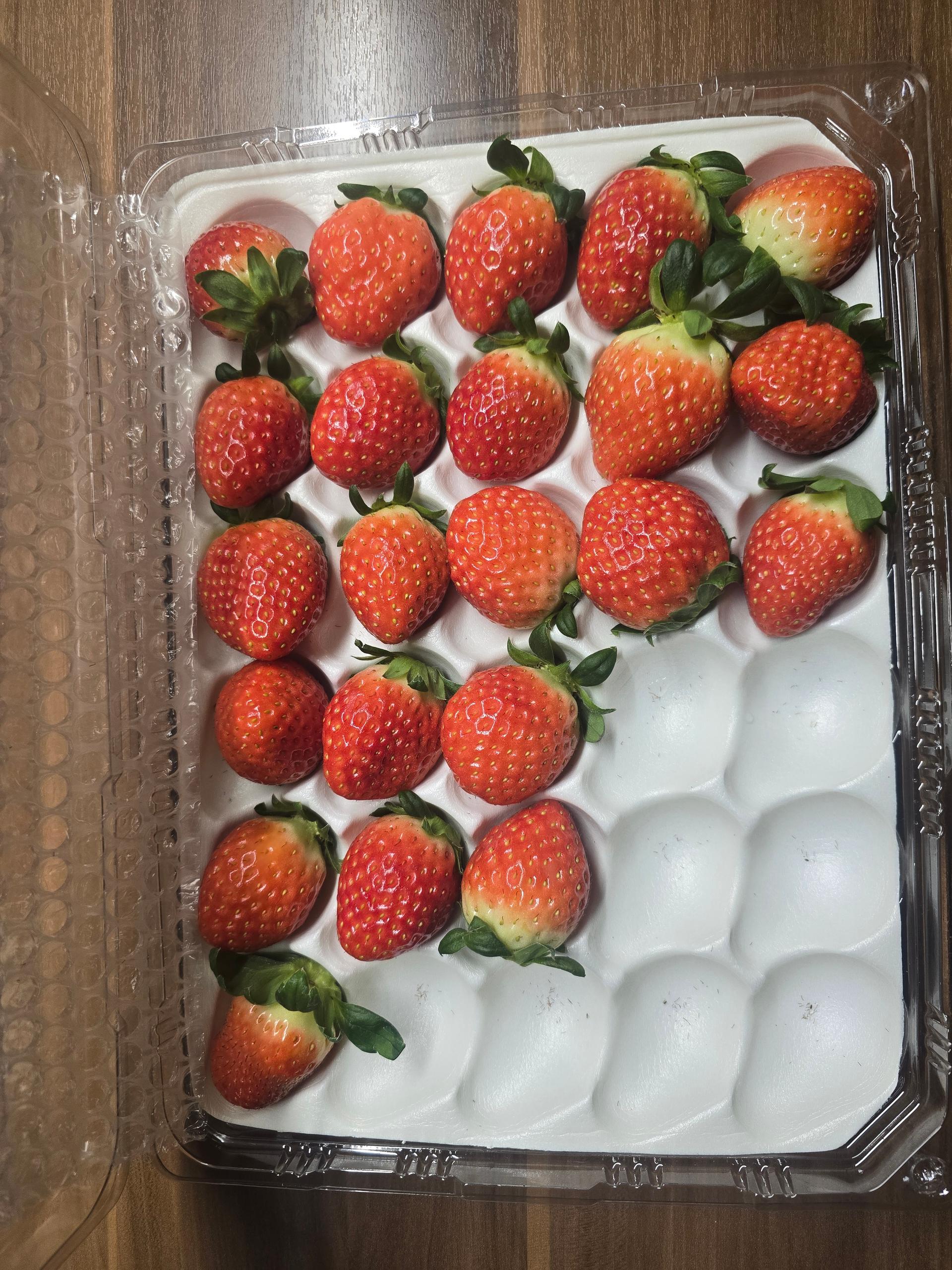 연곡 페이머스파머스 딸기 800g