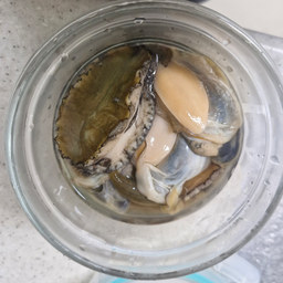 완도 전복 실속 선물세트 (1kg)-1