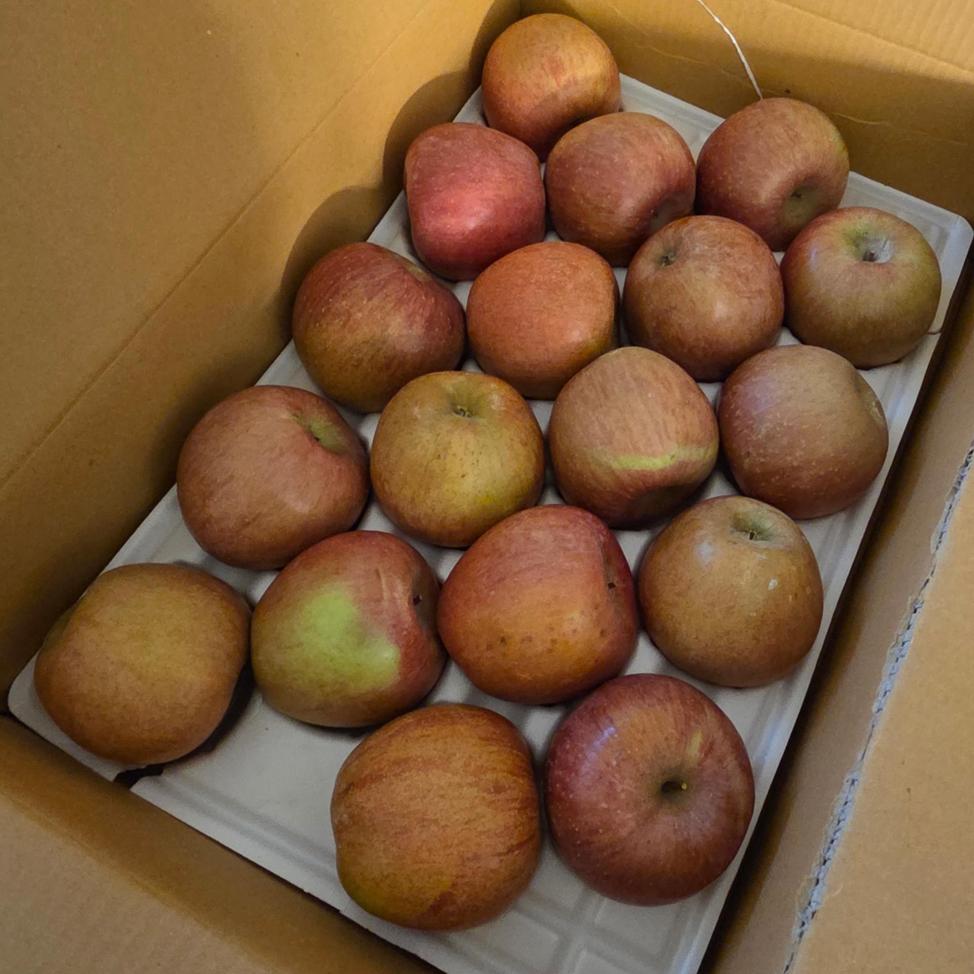 무주 반딧불 부사 4kg(18과)