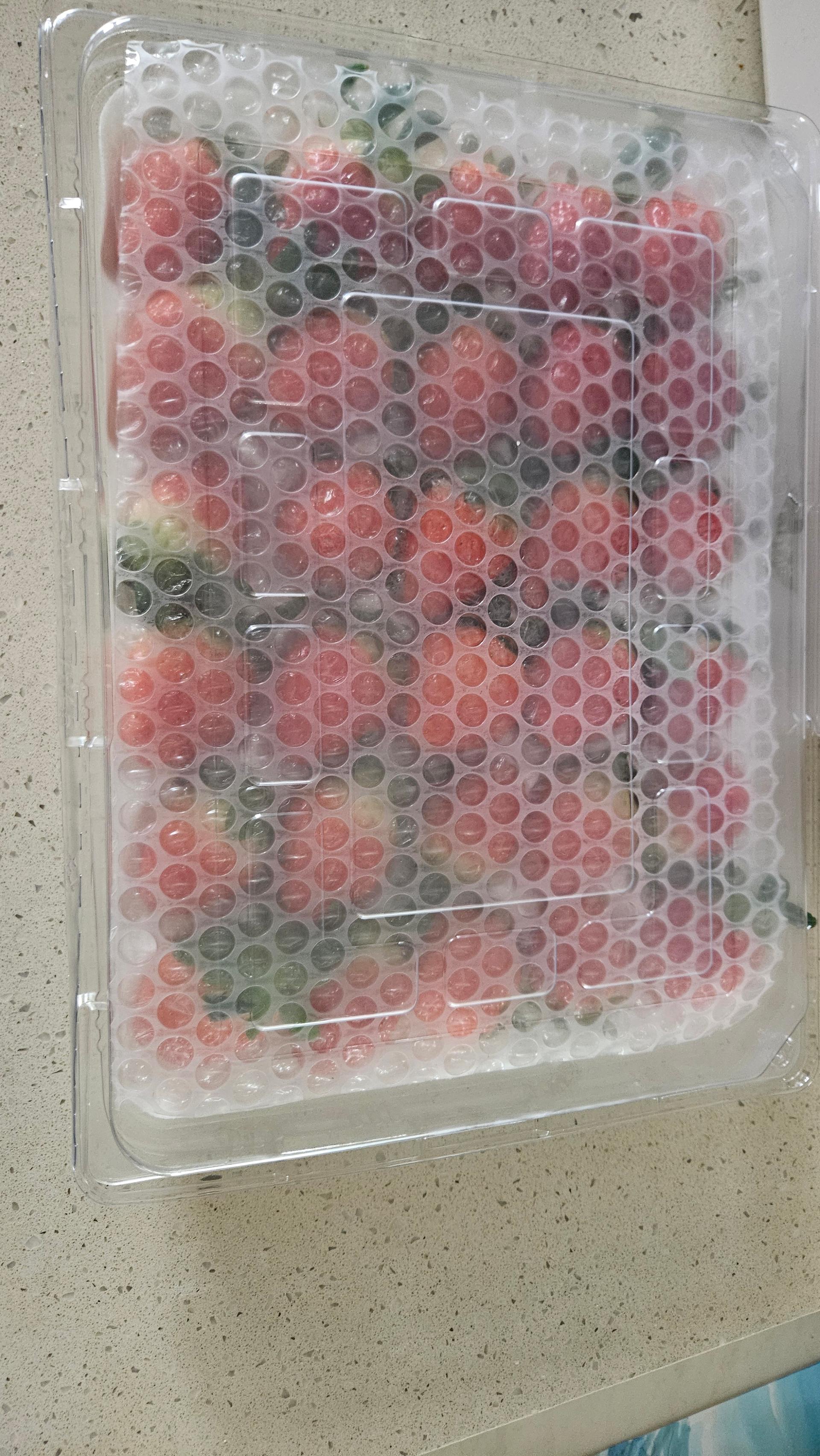 연곡 페이머스파머스 딸기 800g