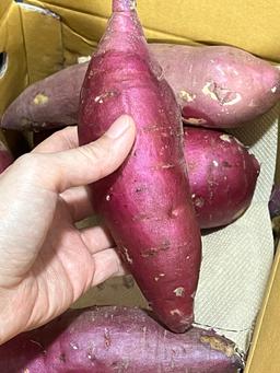 [EVENT] 무농약 김의준 꿀고구마 (대 3kg + 대/하 3kg) + 대 2kg 추가증정-1