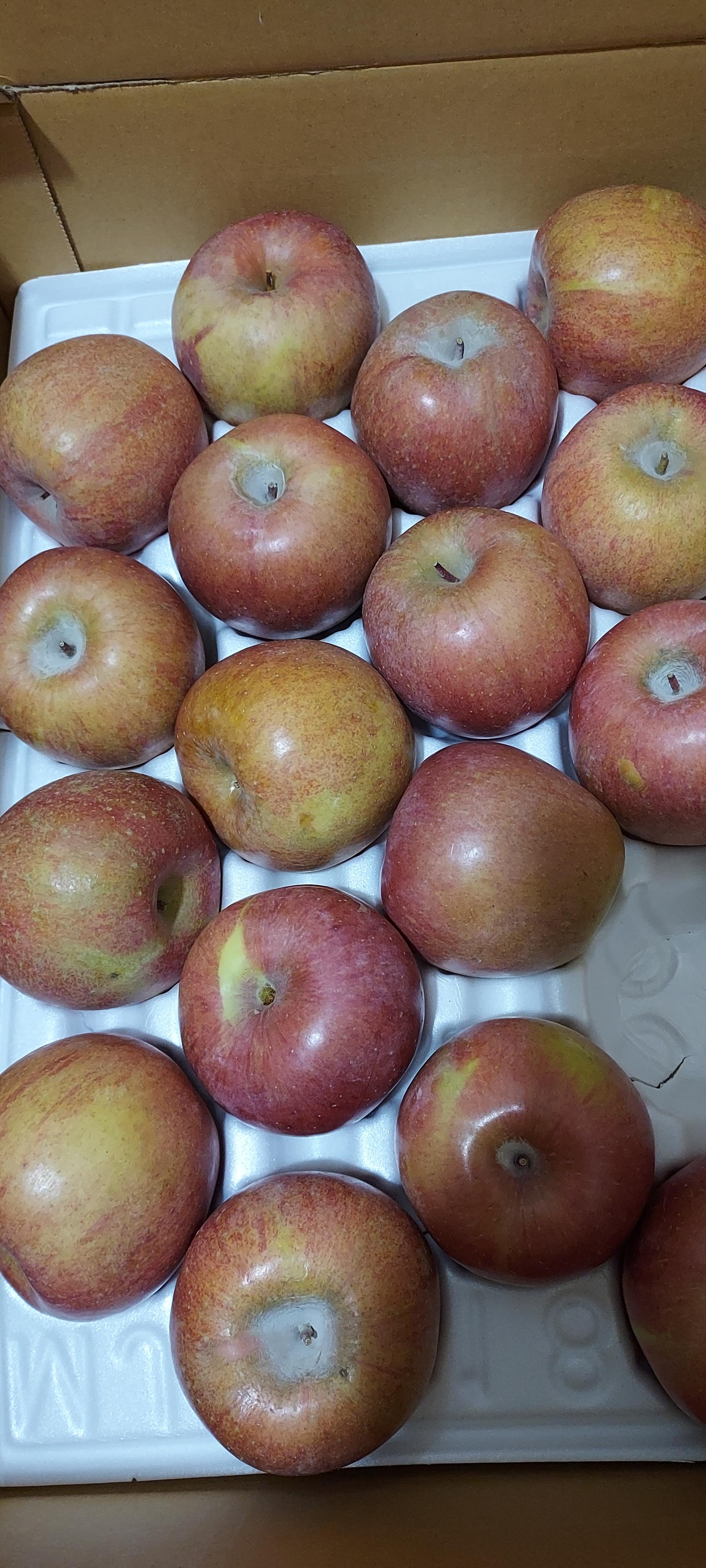 무주 반딧불 부사 4kg(18과)